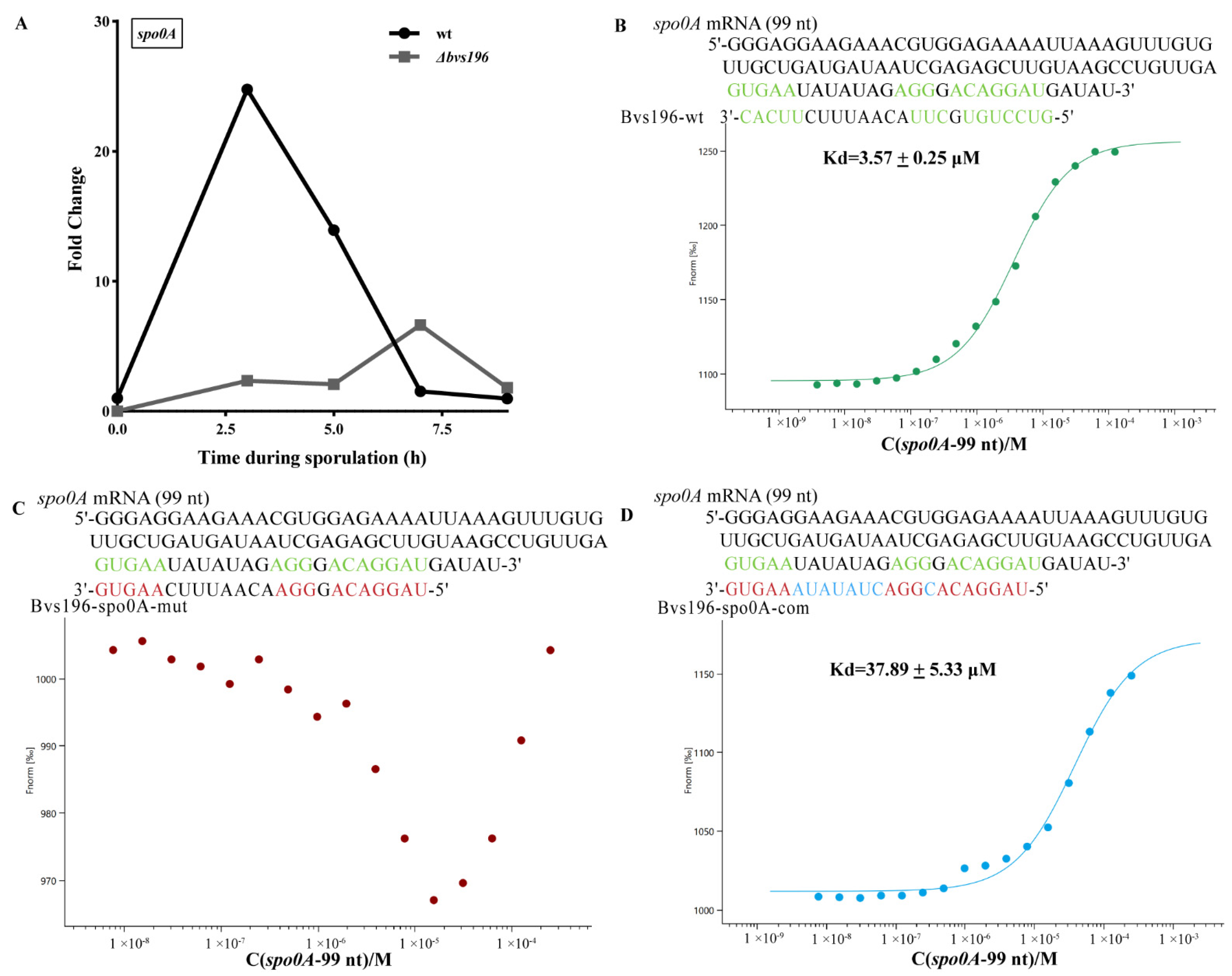 Microorganisms 10 01015 g005