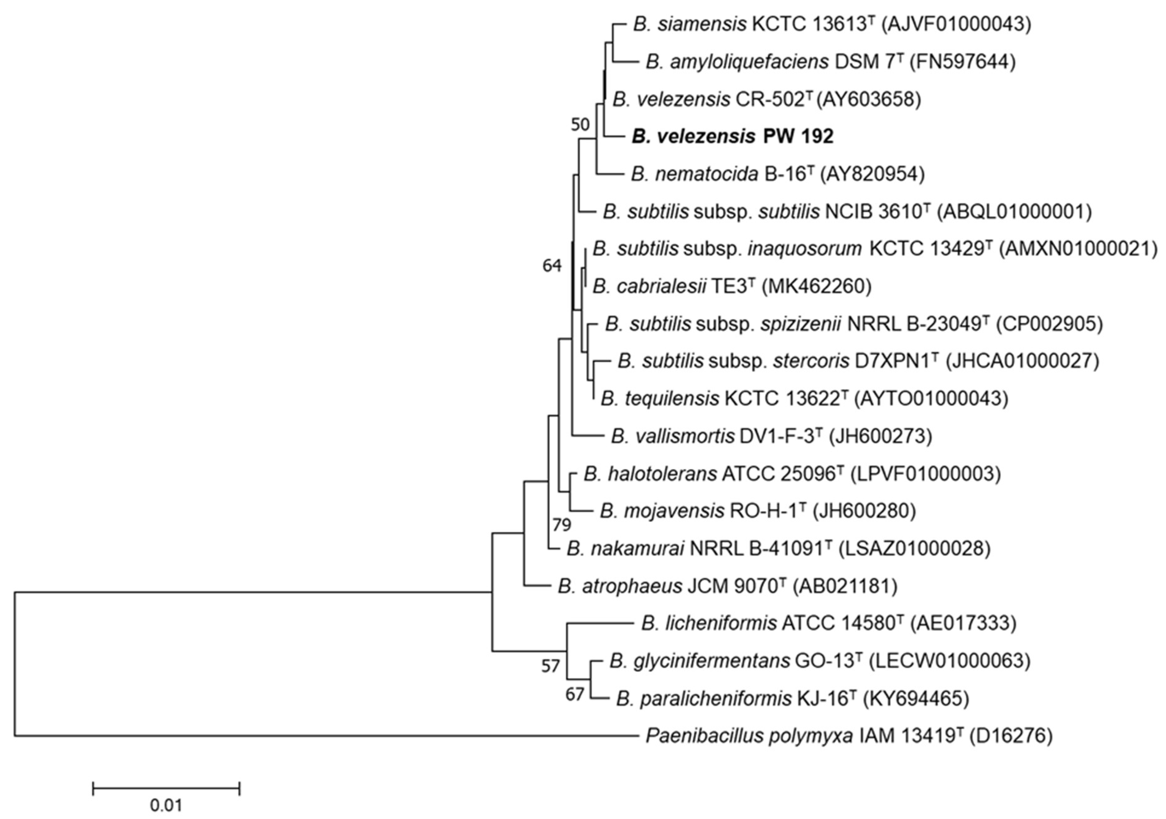 Microorganisms 10 01017 g001
