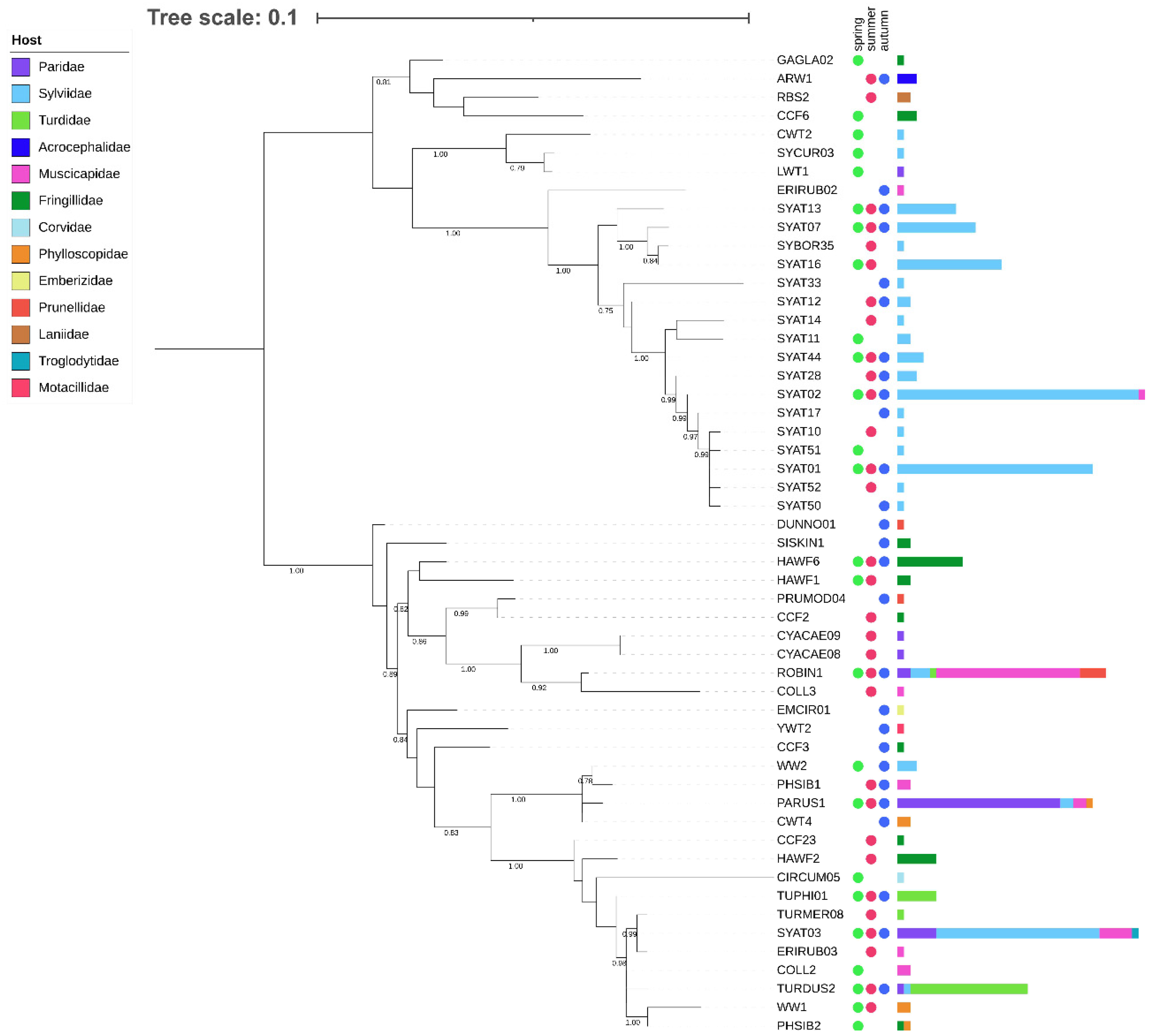 Microorganisms 10 01019 g001