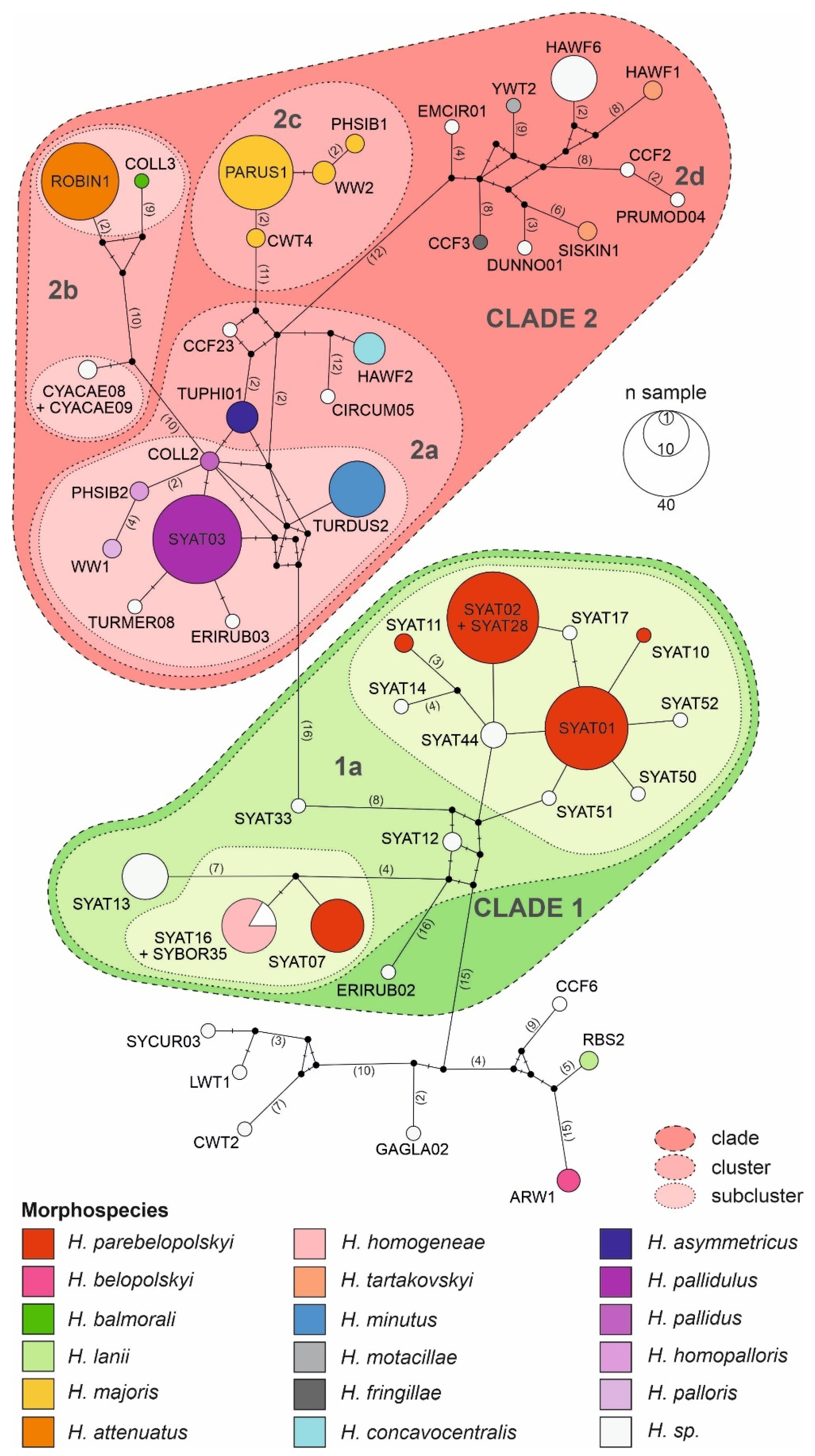 Microorganisms 10 01019 g003