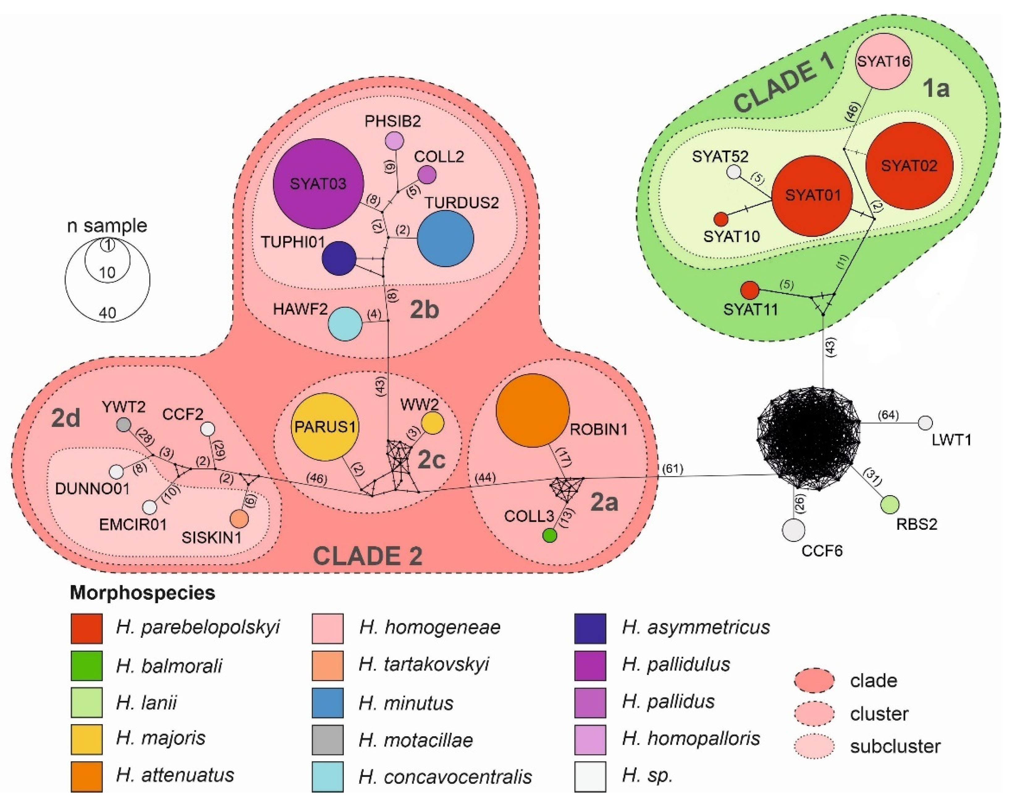 Microorganisms 10 01019 g004