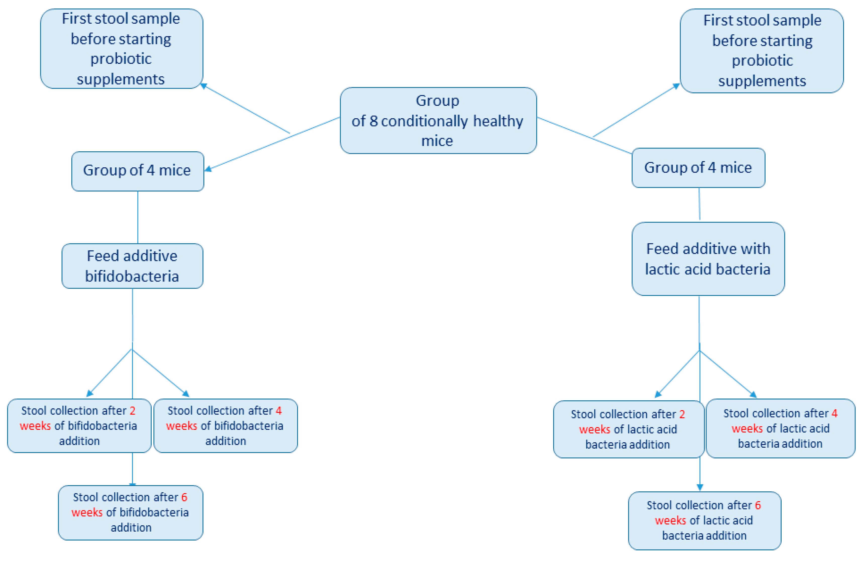 Microorganisms 10 01020 g001