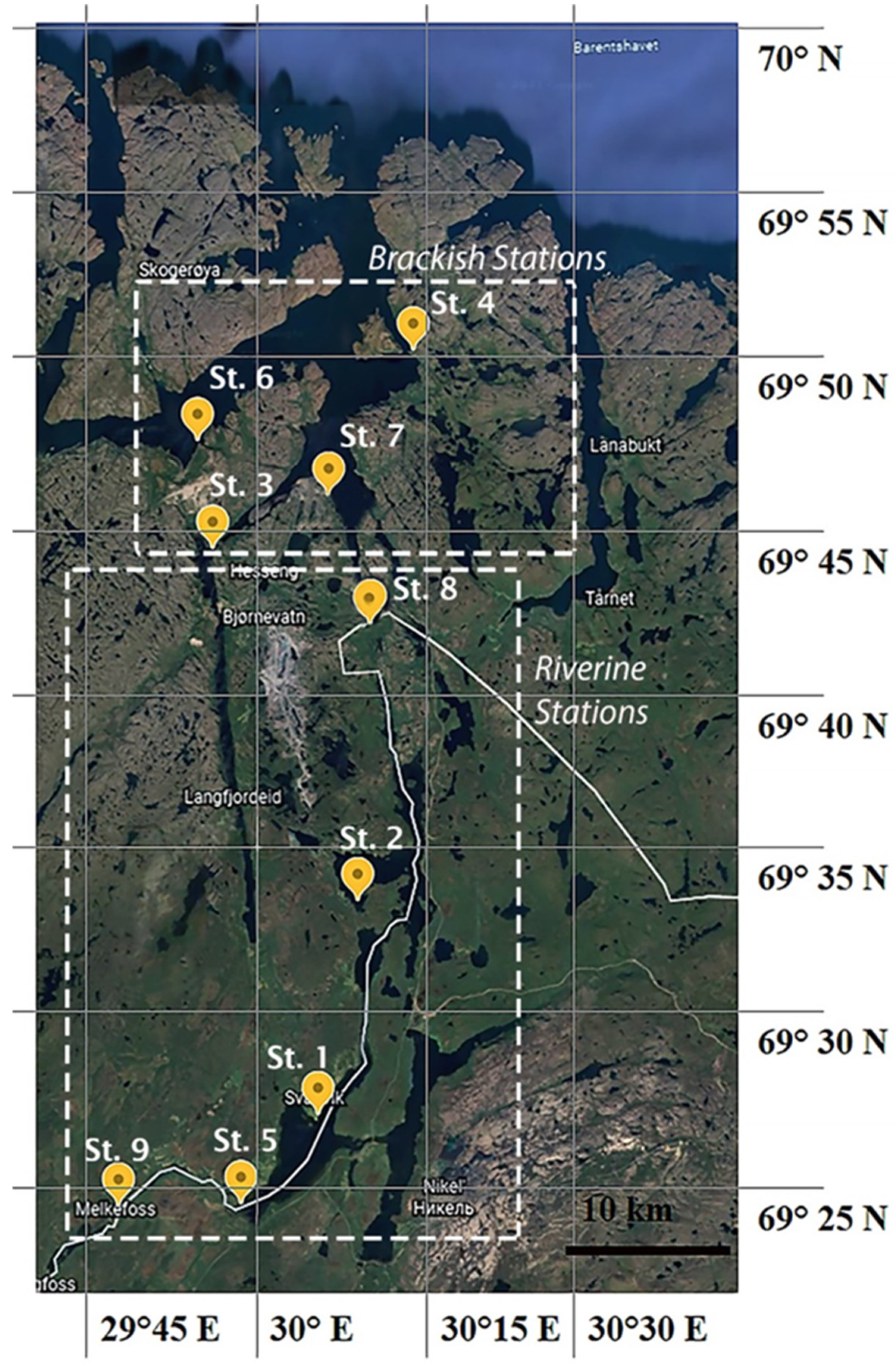 Microorganisms 10 01022 g001 Microorganisms 10 01022 g001