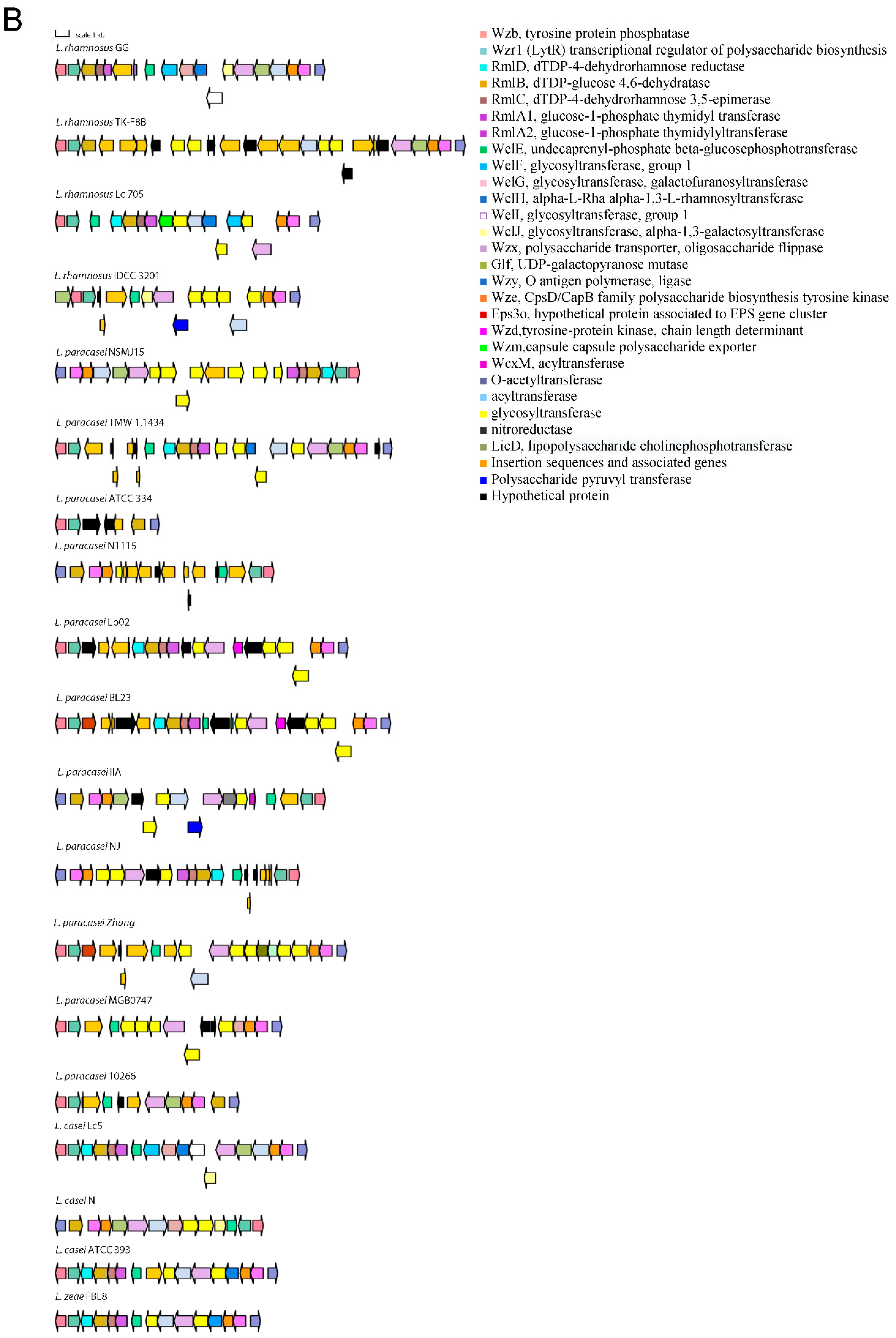 Microorganisms 10 01023 g001b