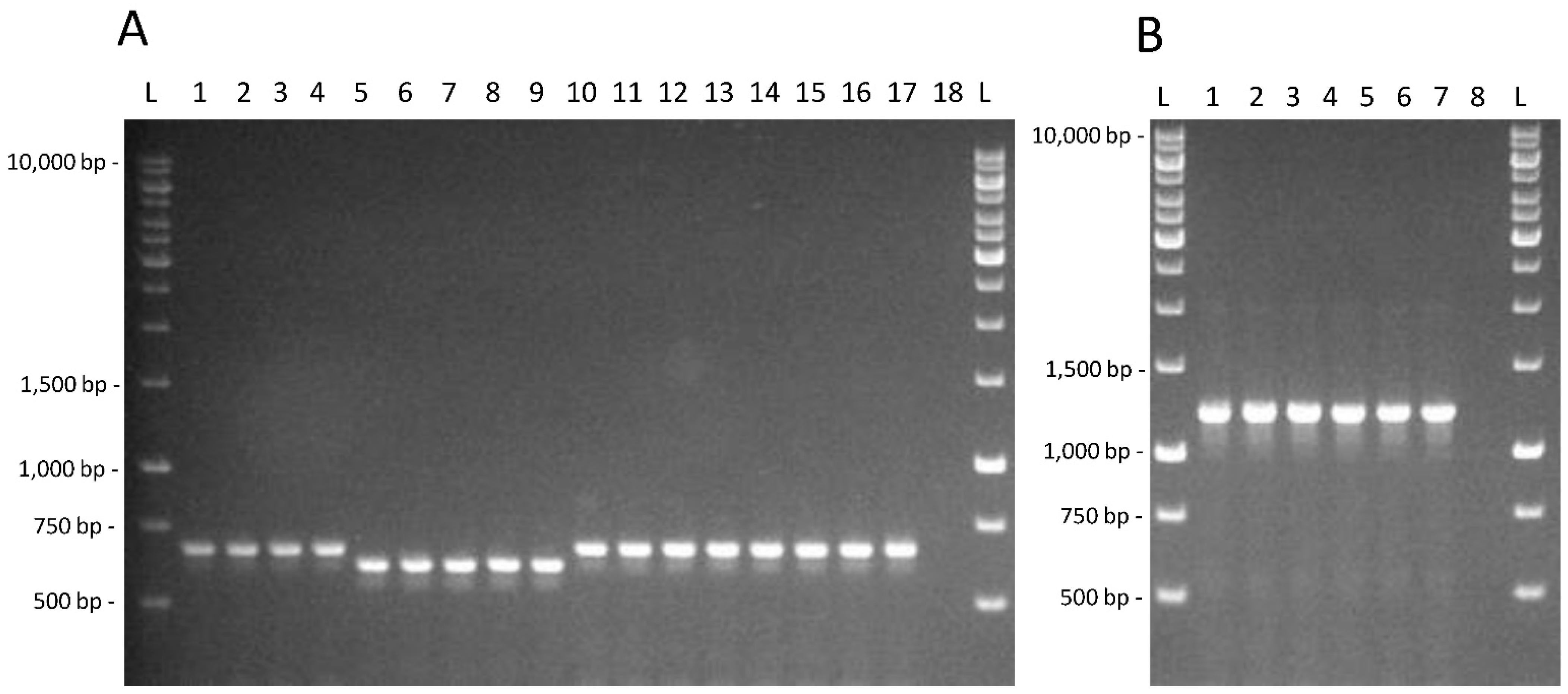 Microorganisms 10 01023 g002