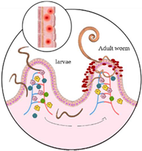 Microorganisms 10 01027 i002