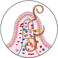 Microorganisms 10 01027 i003