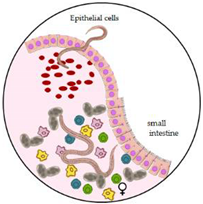 Microorganisms 10 01027 i004