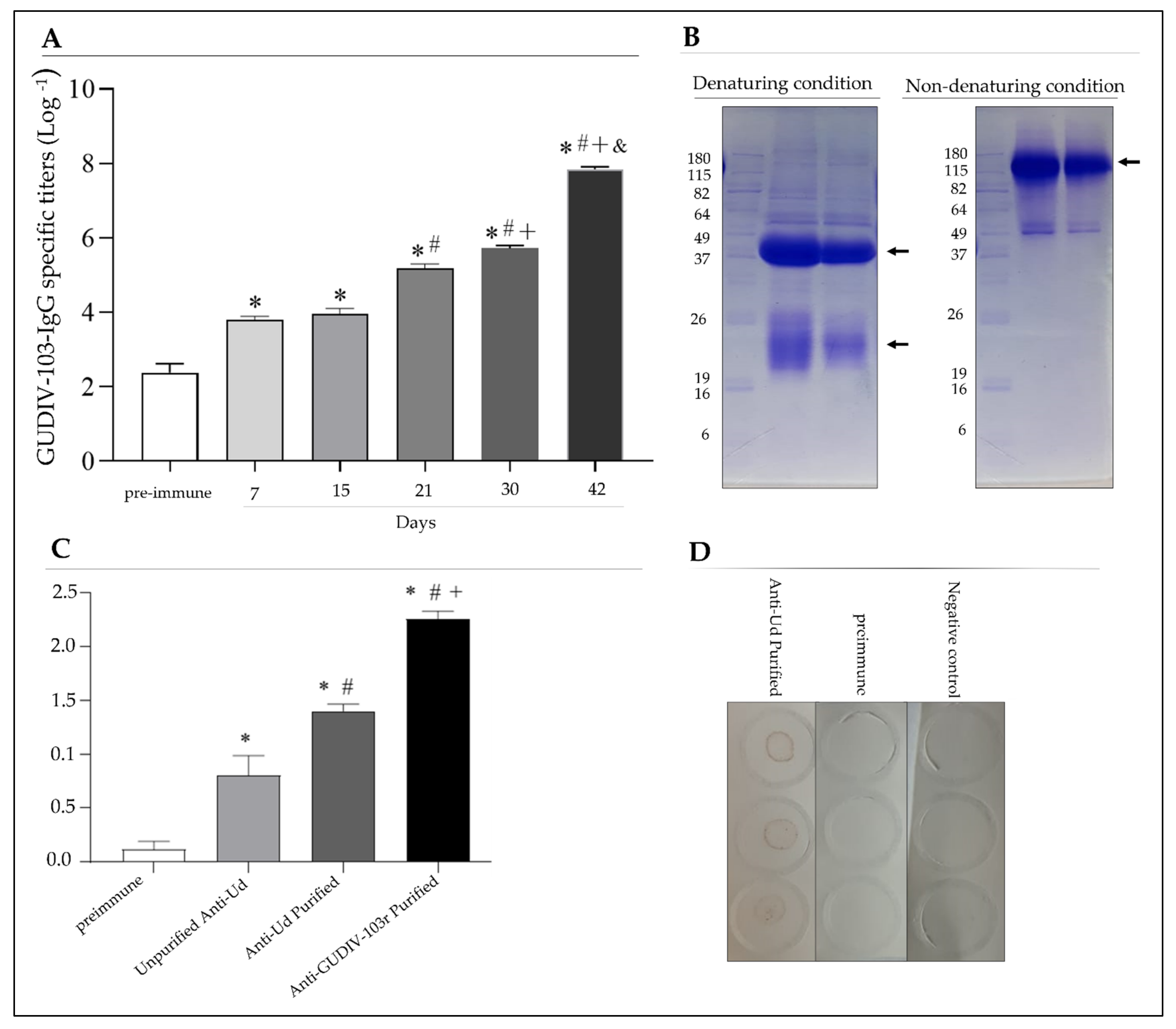 Microorganisms 10 01032 g002