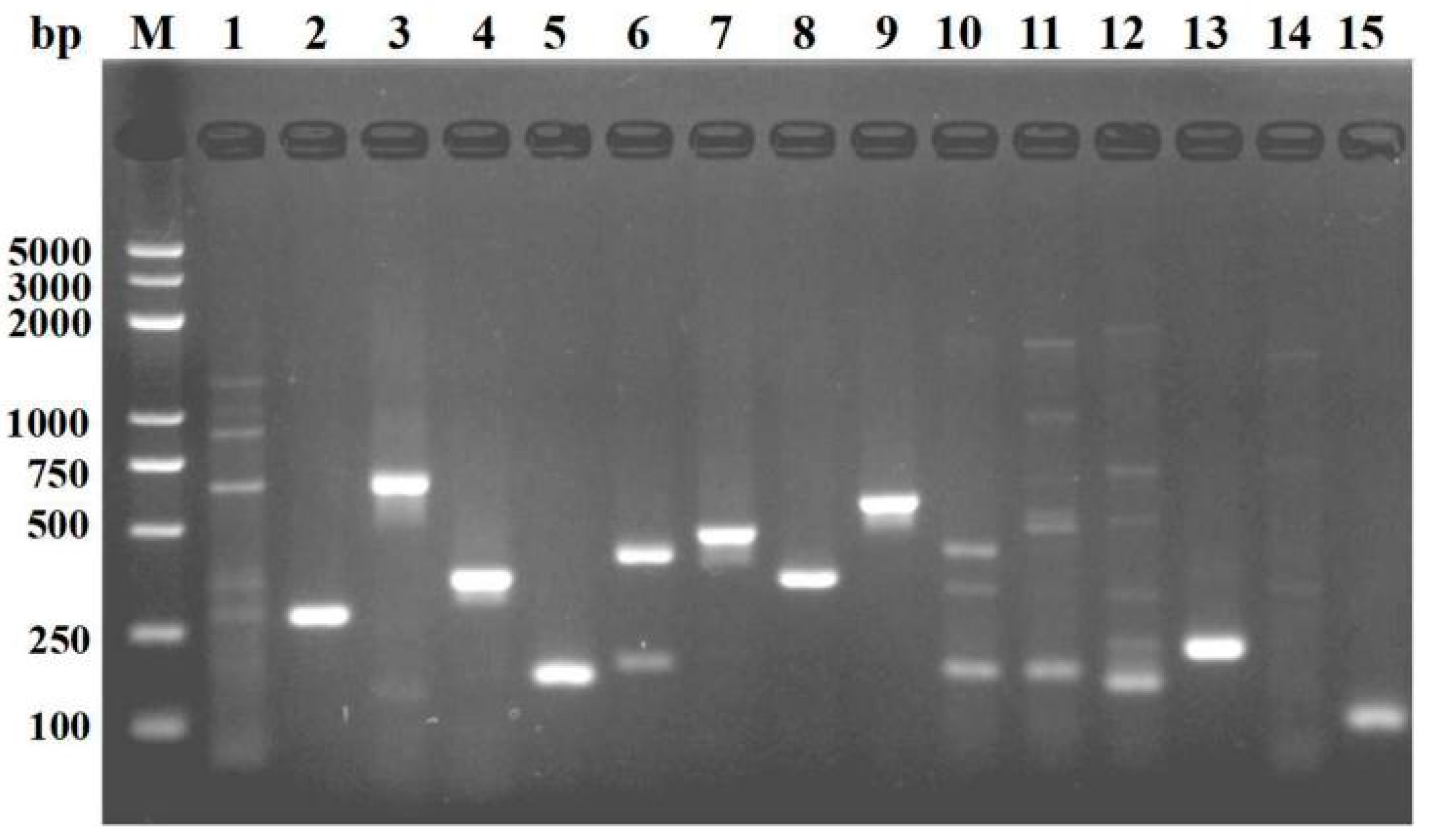 Microorganisms 10 01037 g001