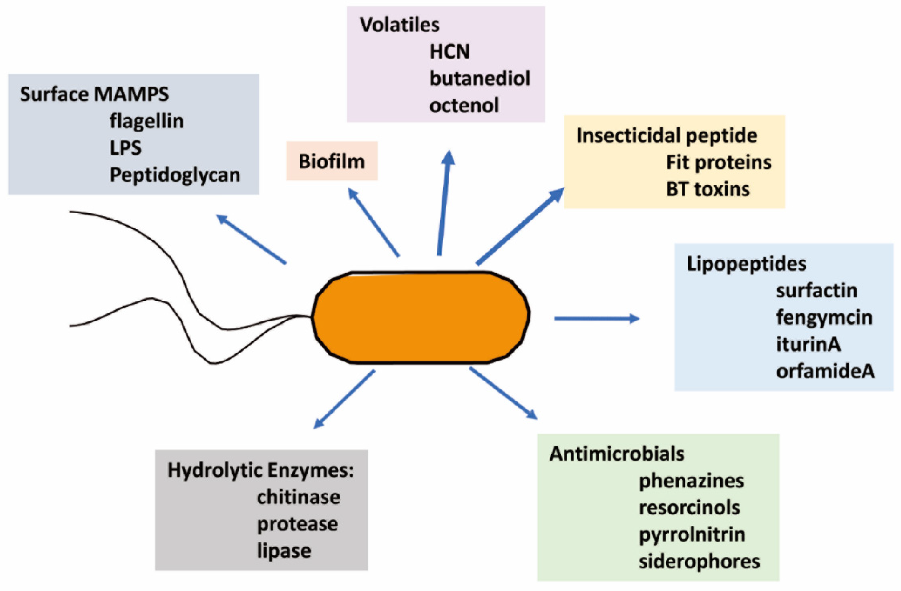 Microorganisms 10 01053 g002