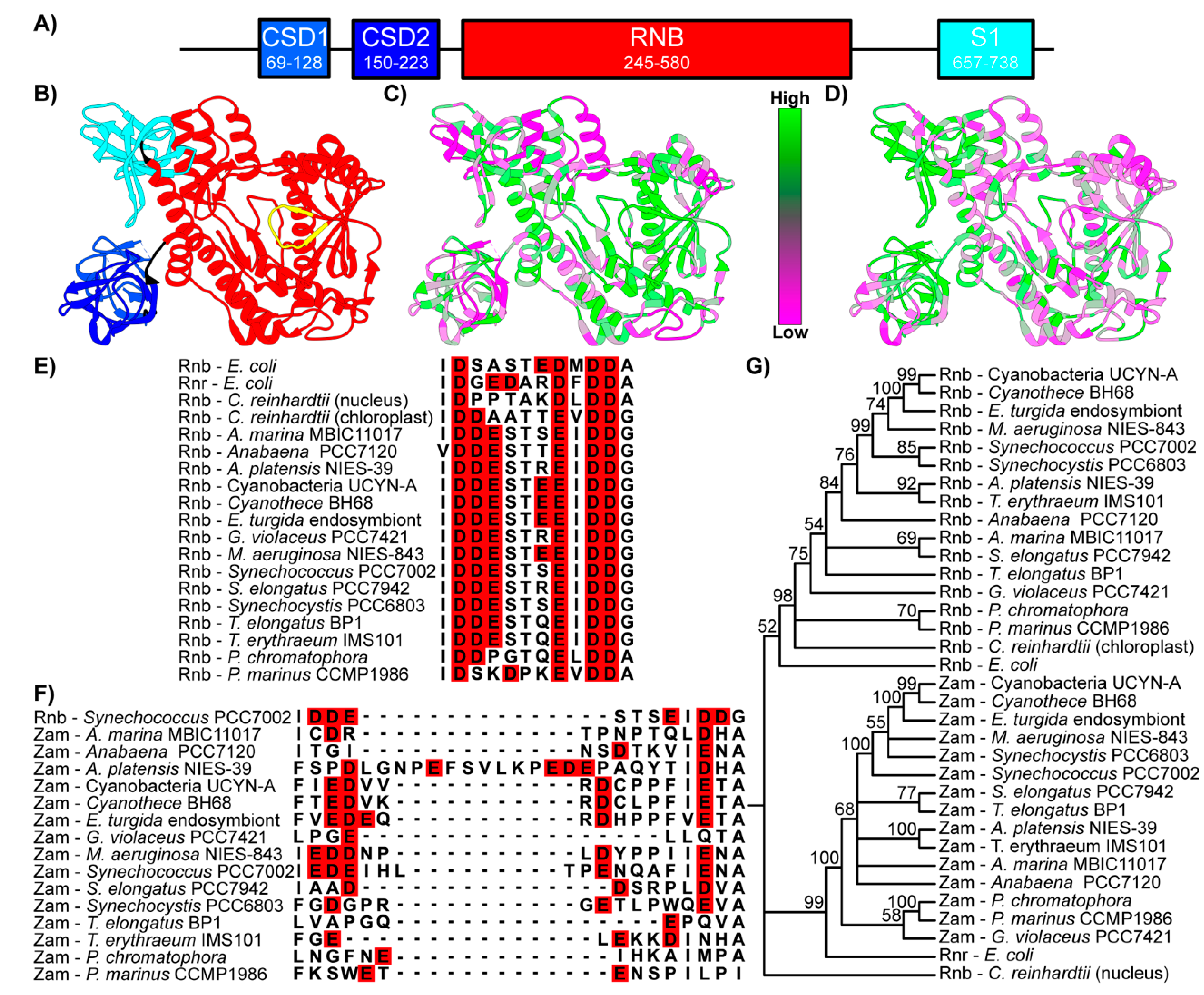 Microorganisms 10 01055 g001