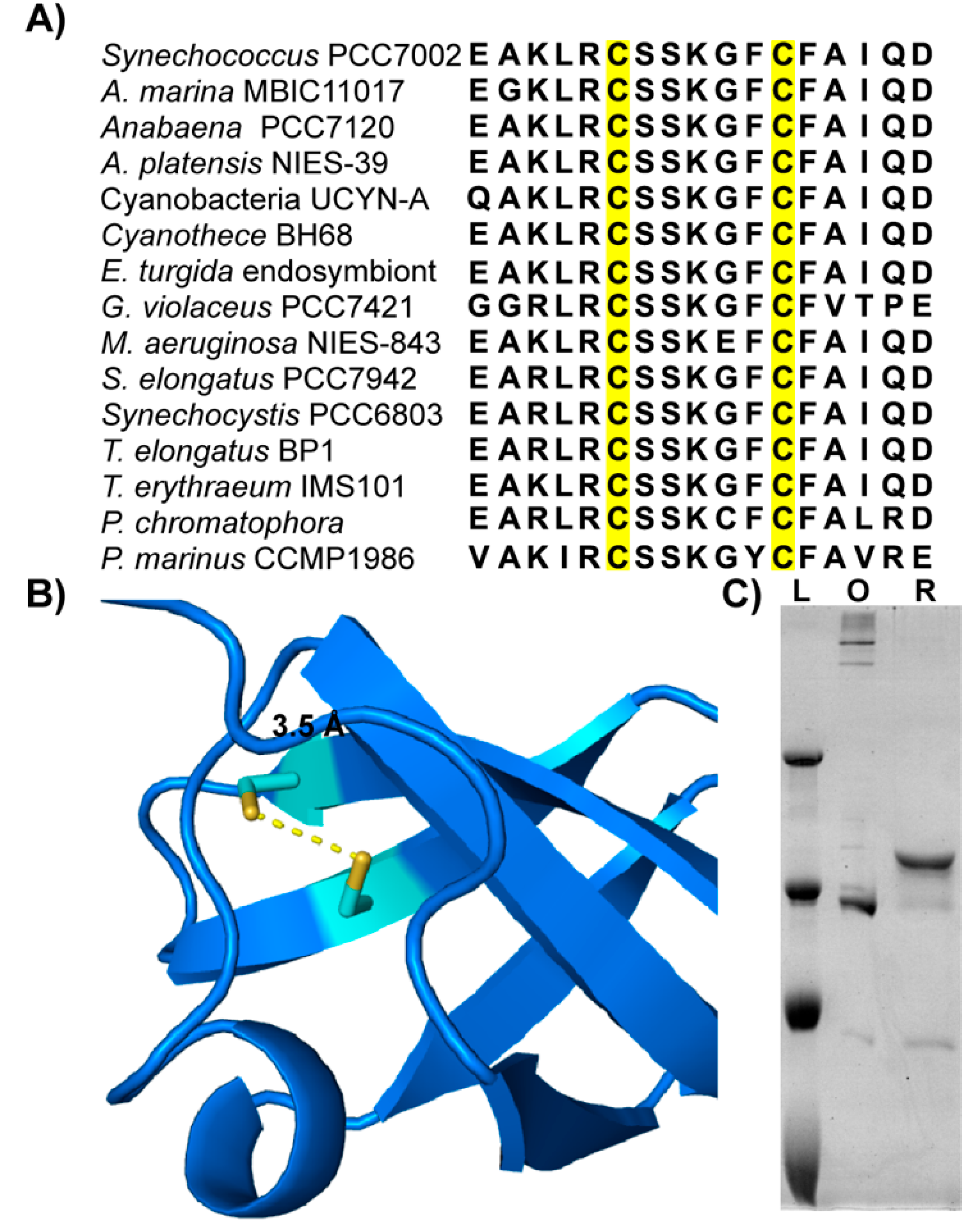 Microorganisms 10 01055 g002