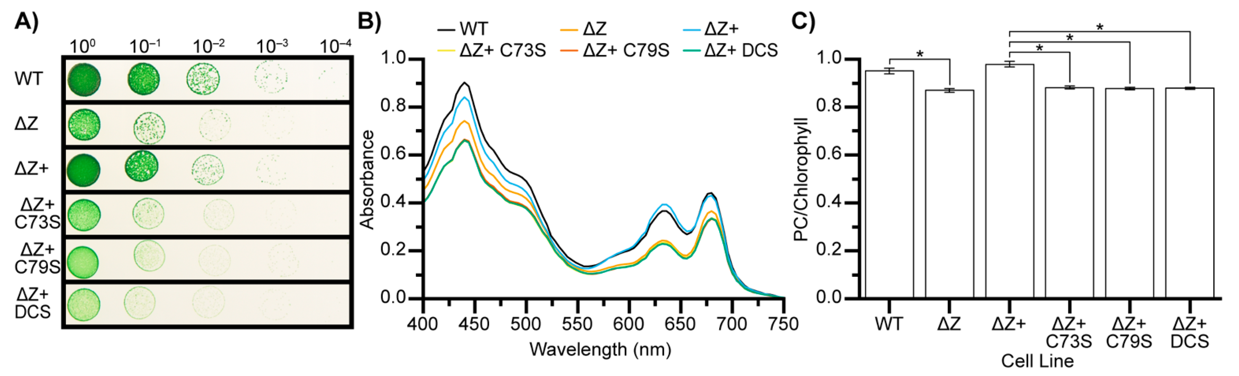 Microorganisms 10 01055 g004
