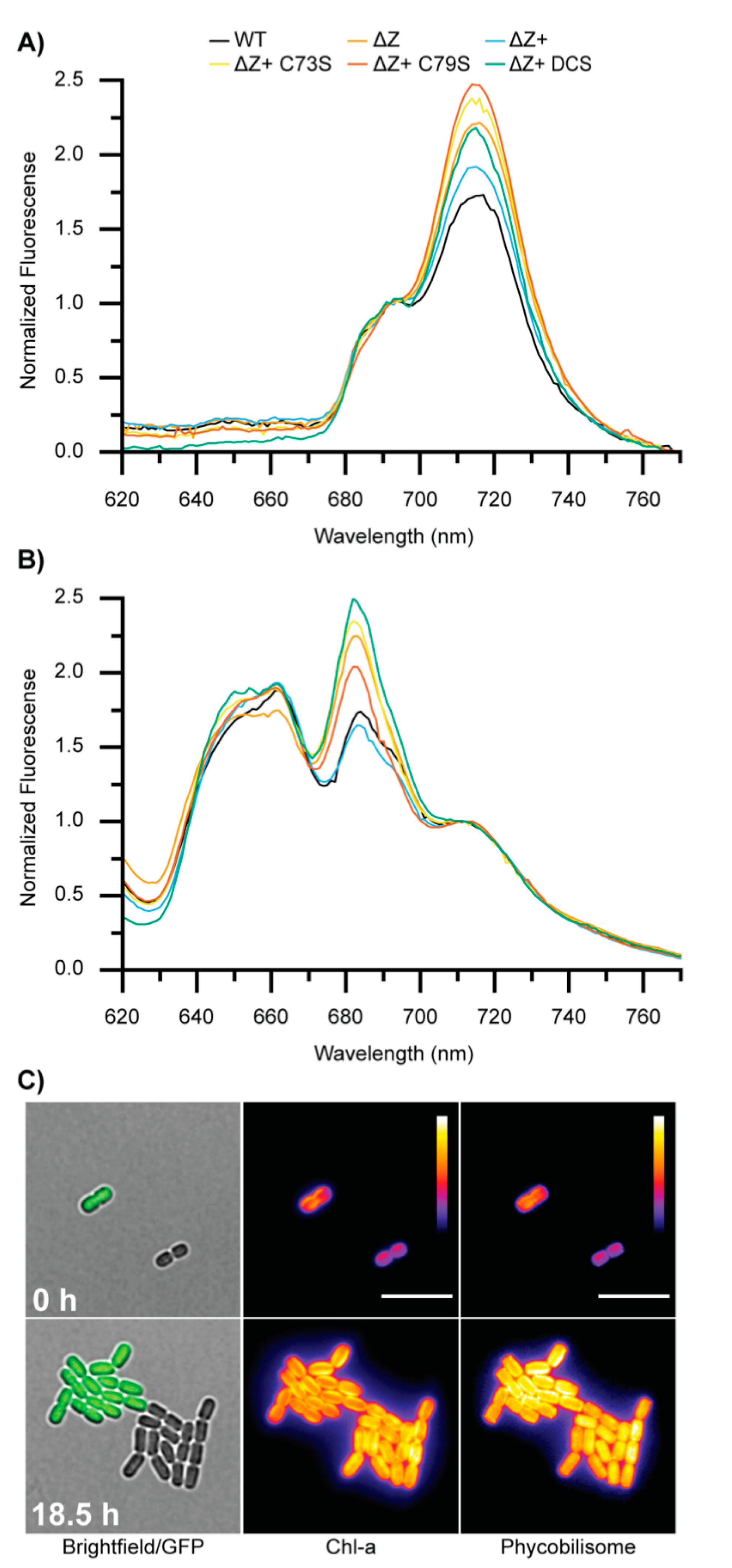 Microorganisms 10 01055 g006