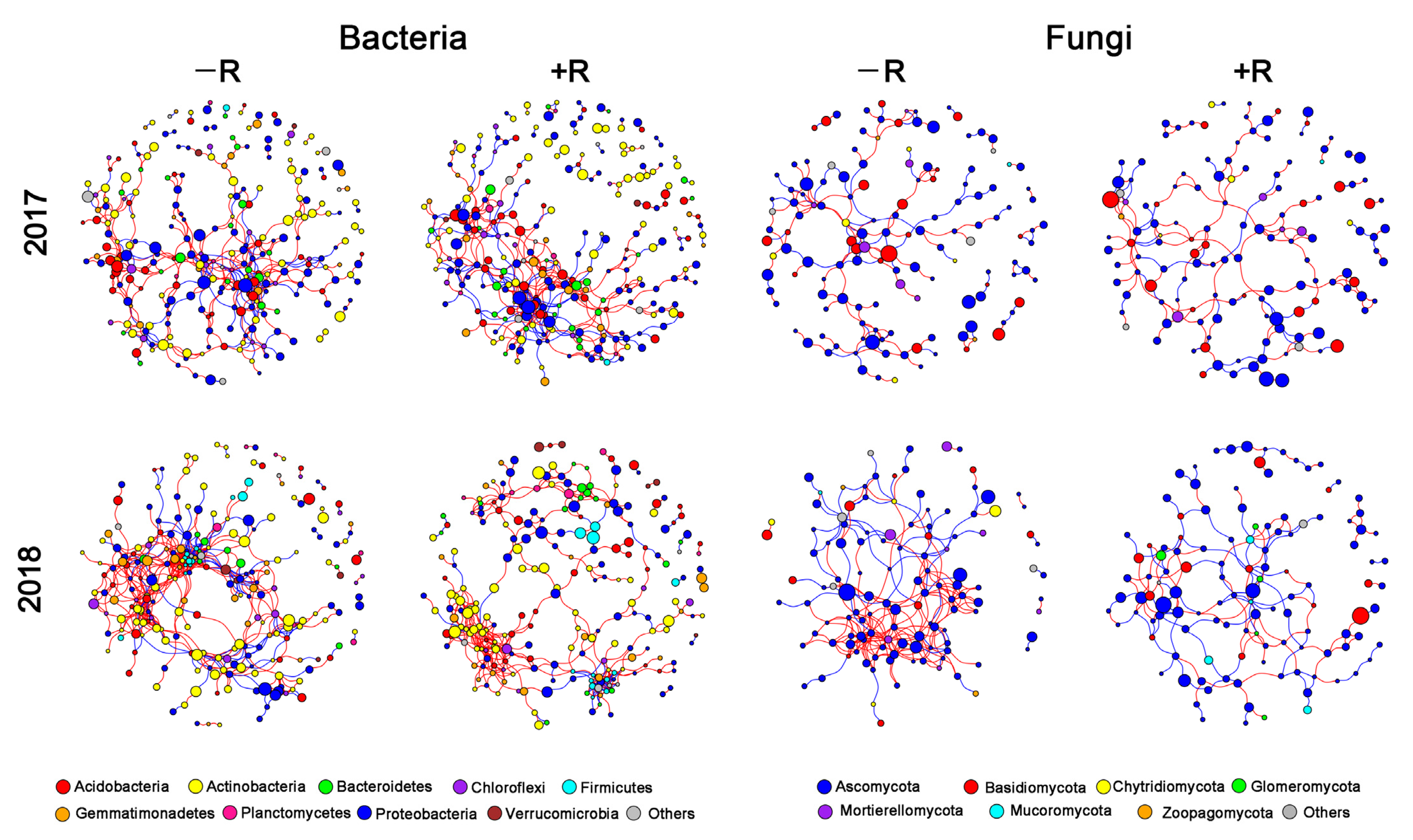 Microorganisms 10 01056 g006 Microorganisms 10 01056 g006