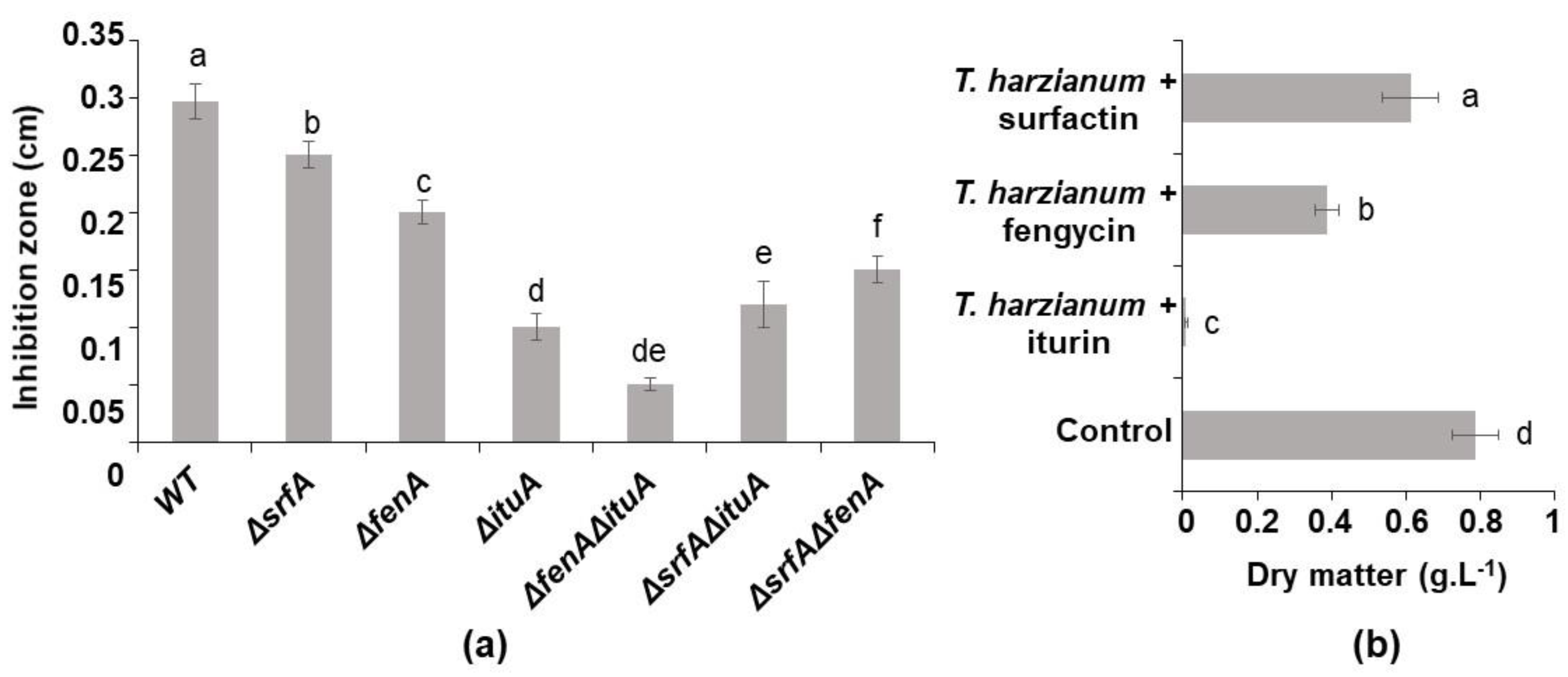 Microorganisms 10 01059 g001
