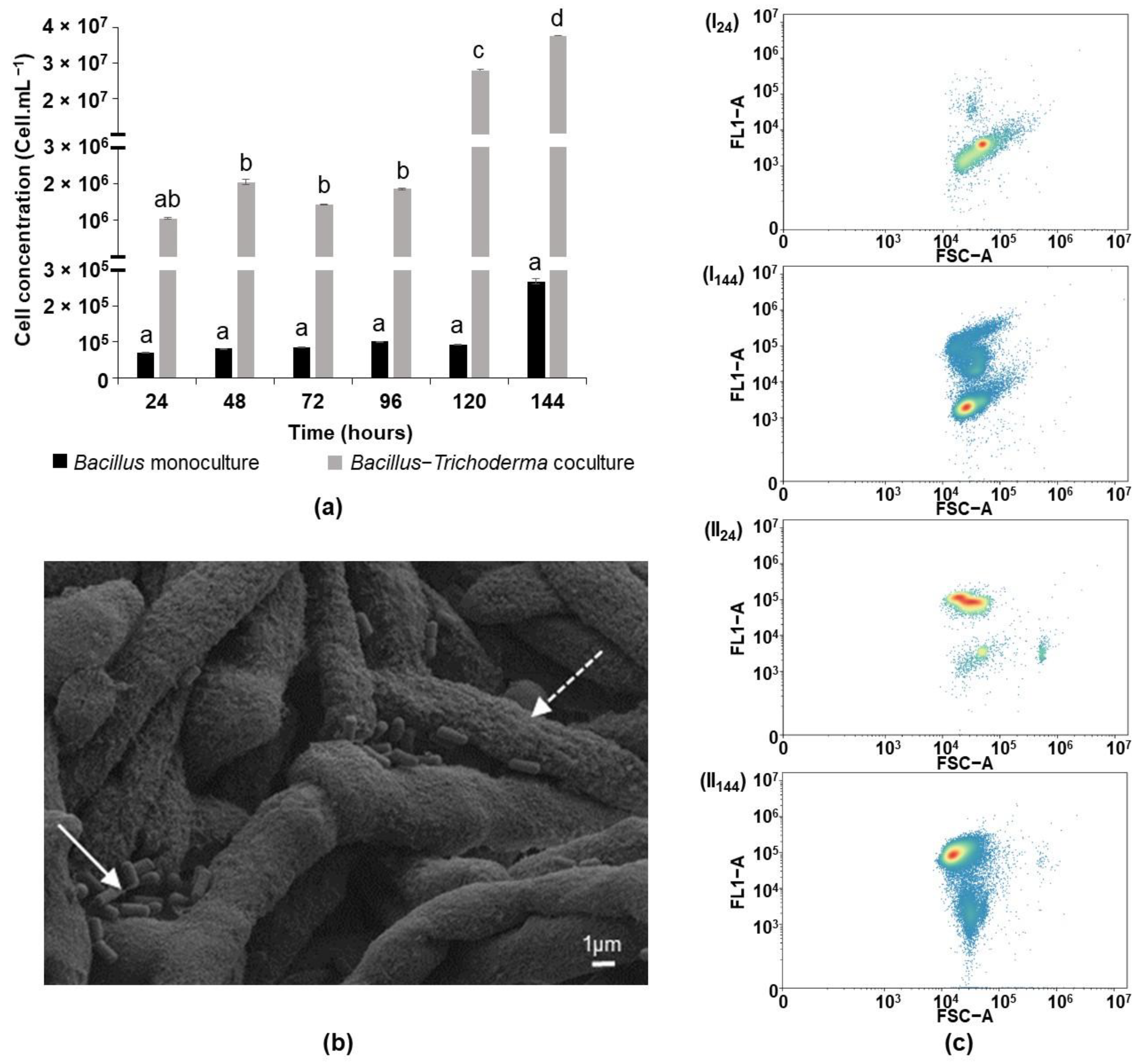 Microorganisms 10 01059 g003