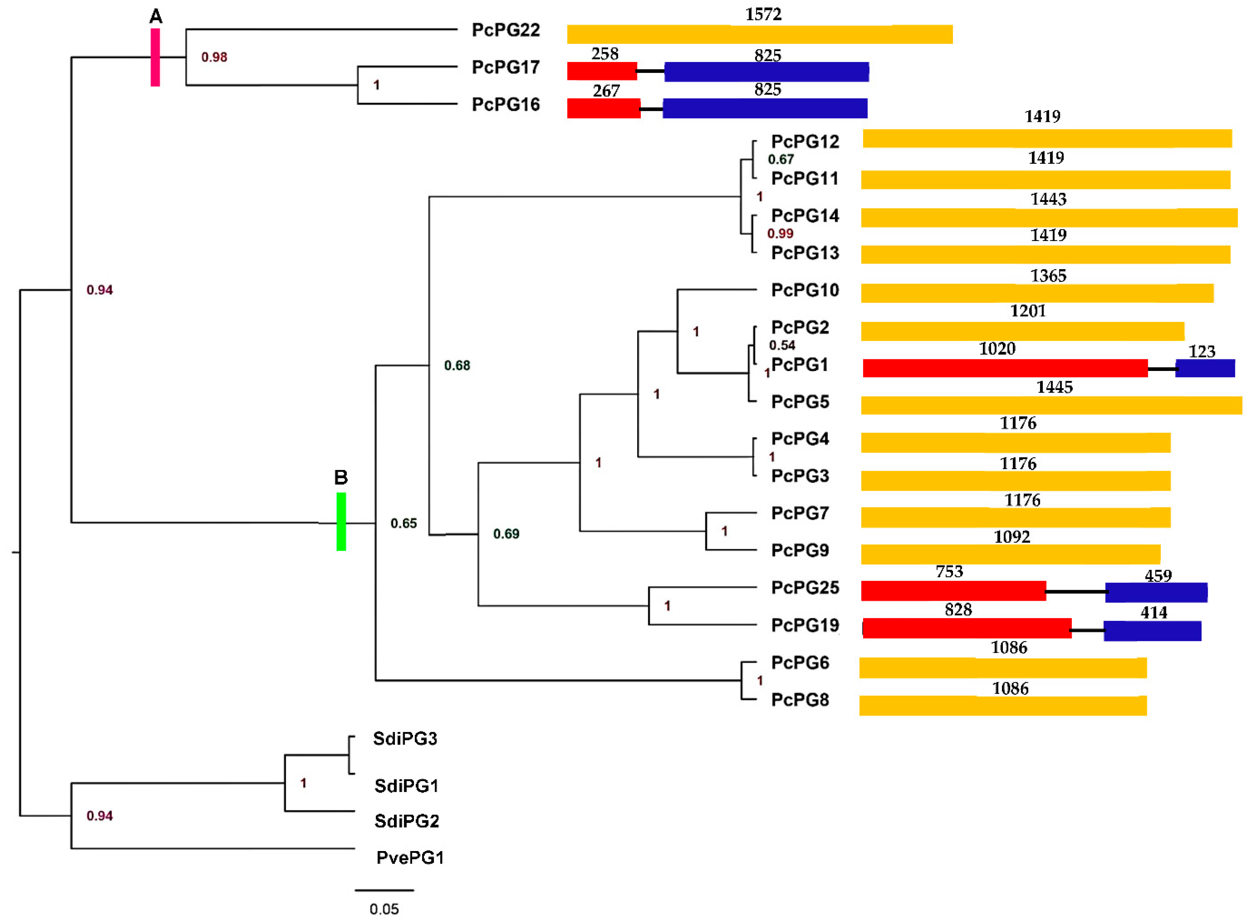 Microorganisms 10 01061 g001