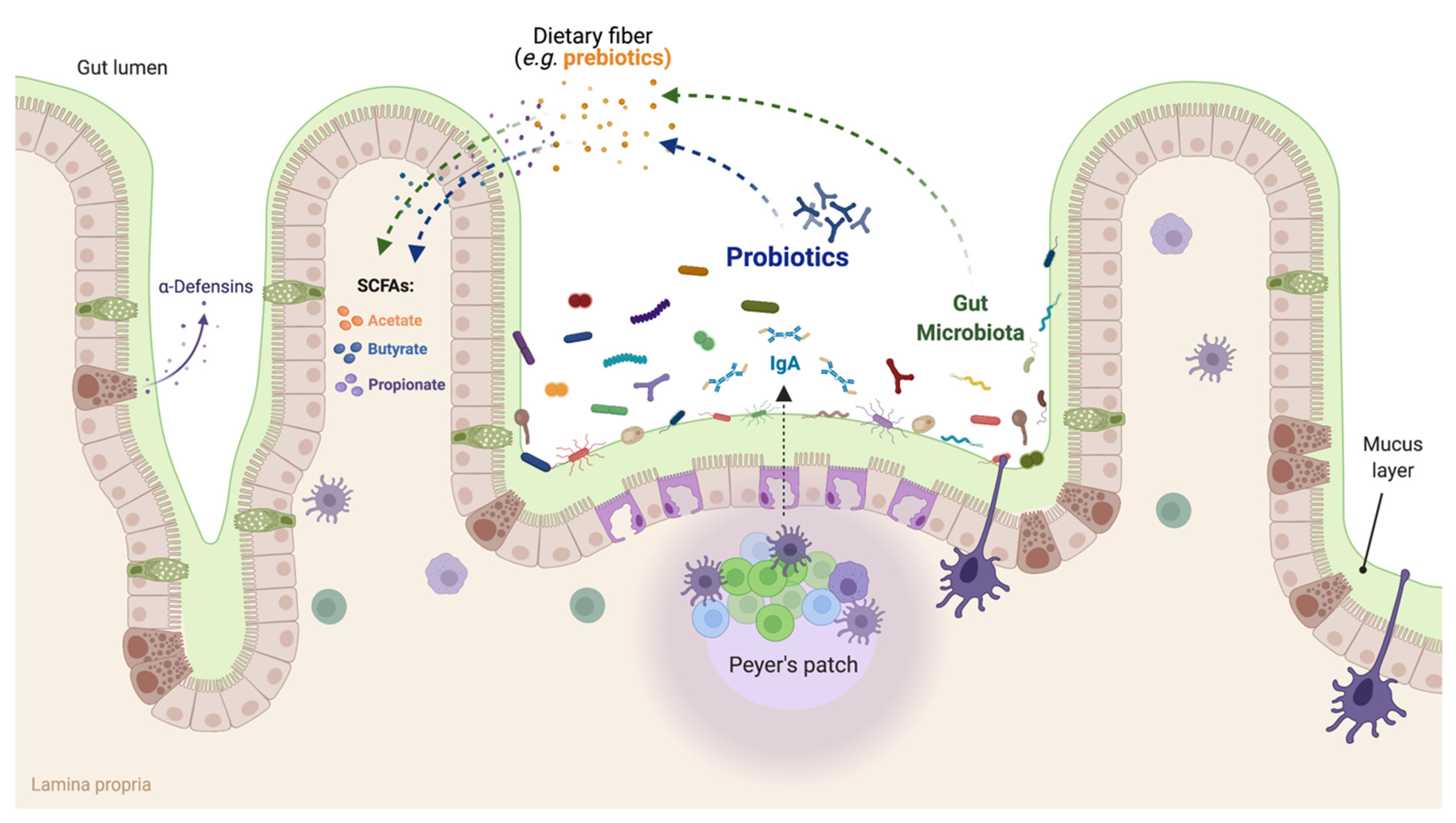 Microorganisms 10 01065 g002 Microorganisms 10 01065 g002