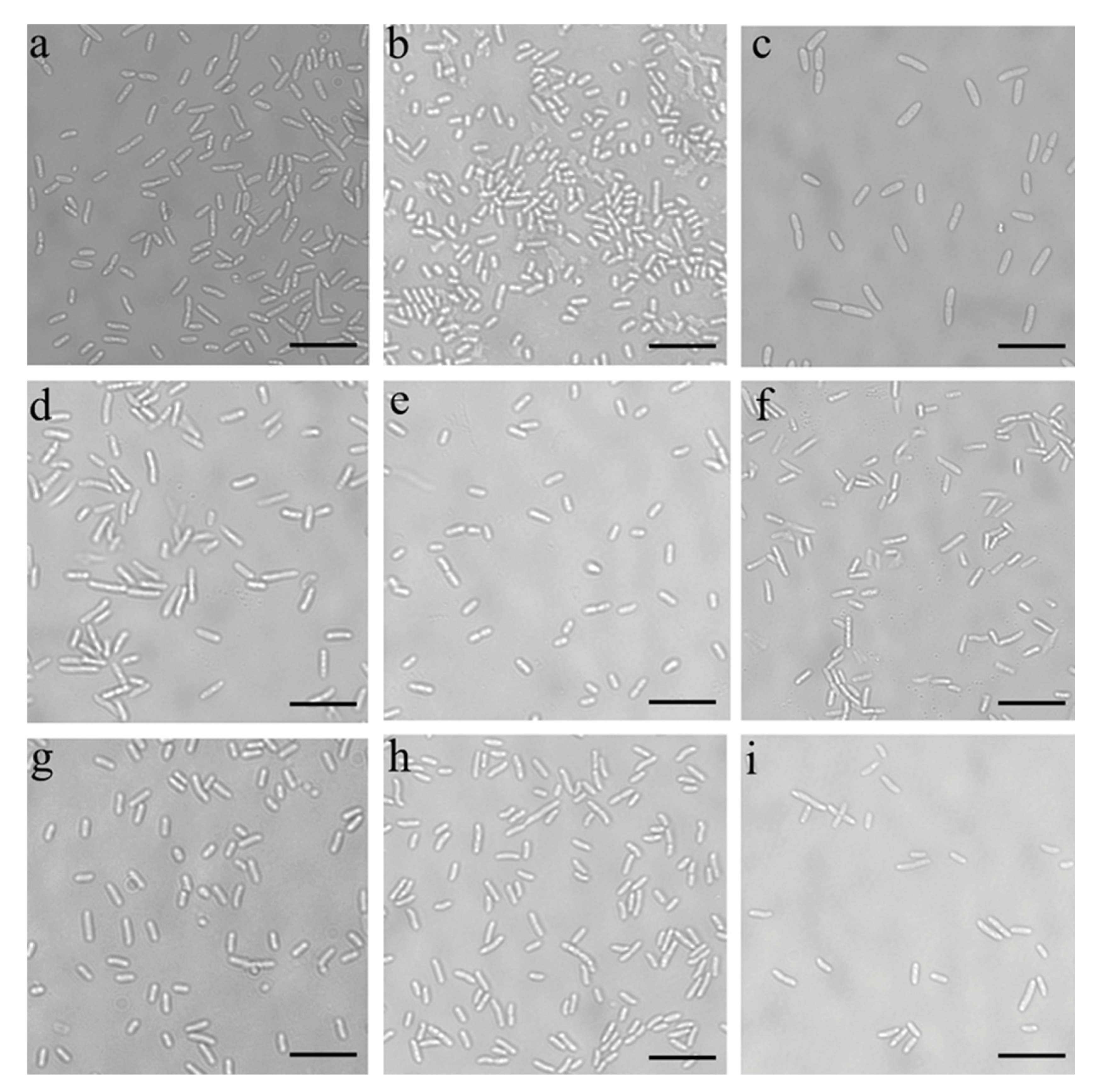 Microorganisms 10 01071 g003 Microorganisms 10 01071 g003