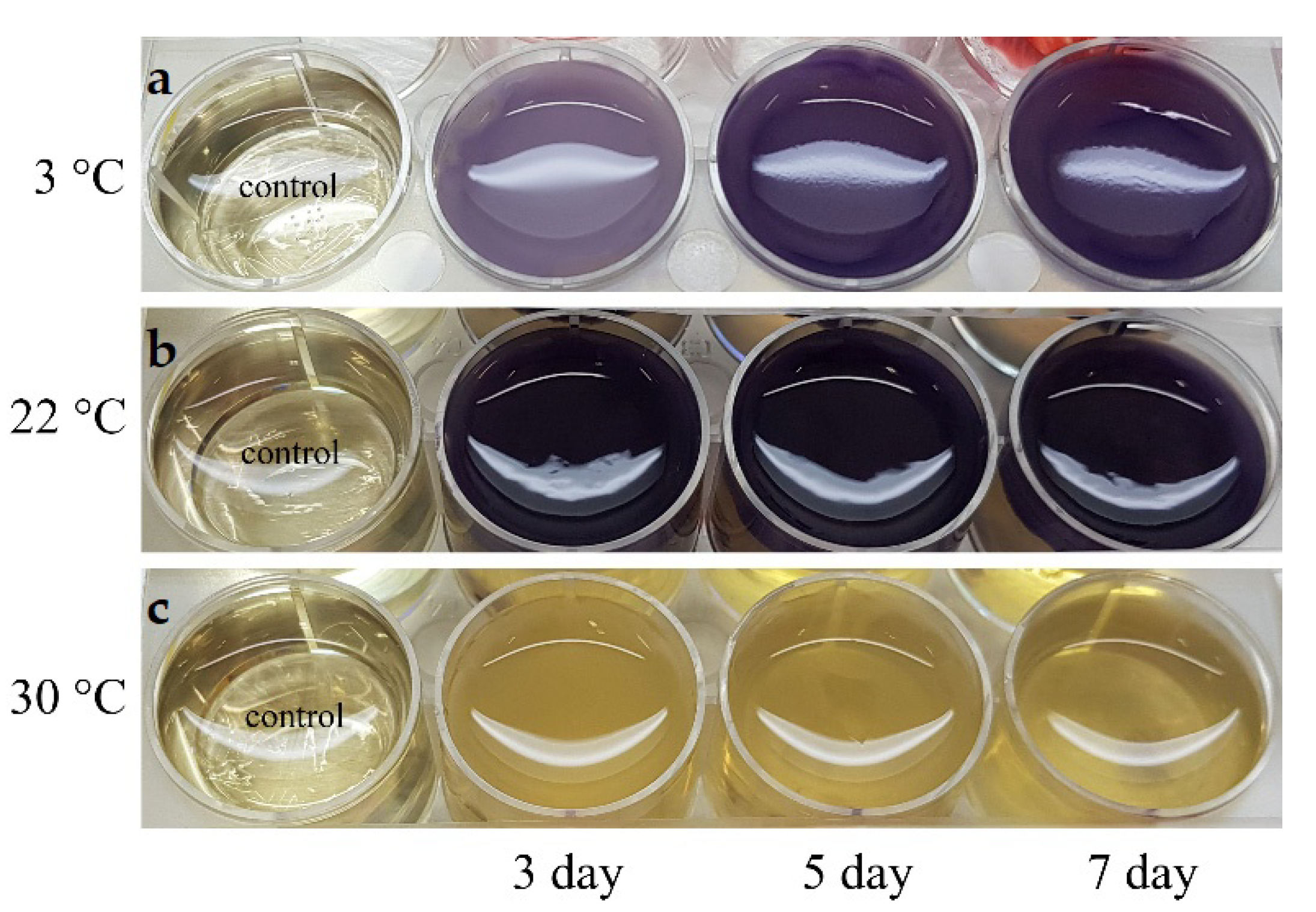 Microorganisms 10 01071 g005 Microorganisms 10 01071 g005