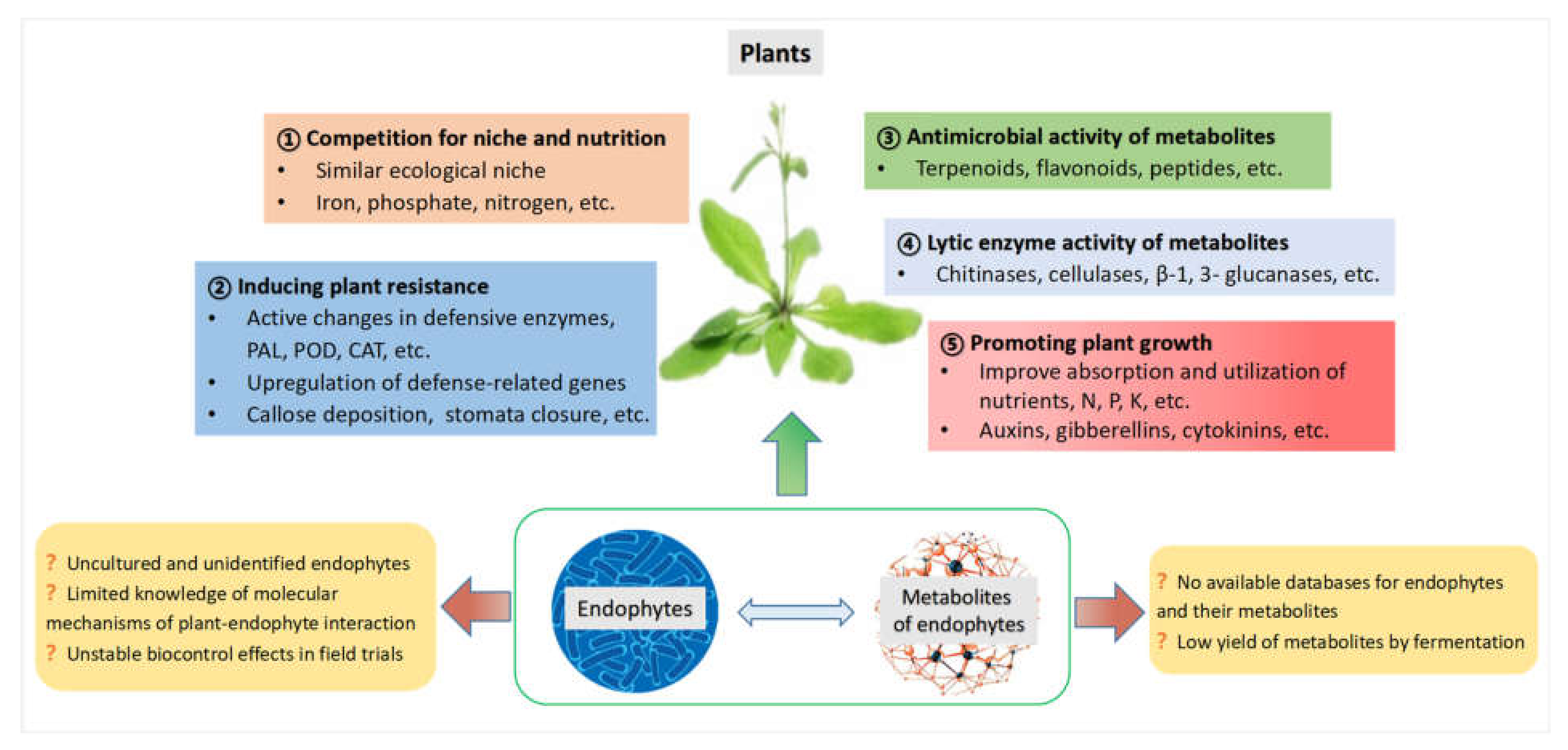 Microorganisms 10 01072 g001