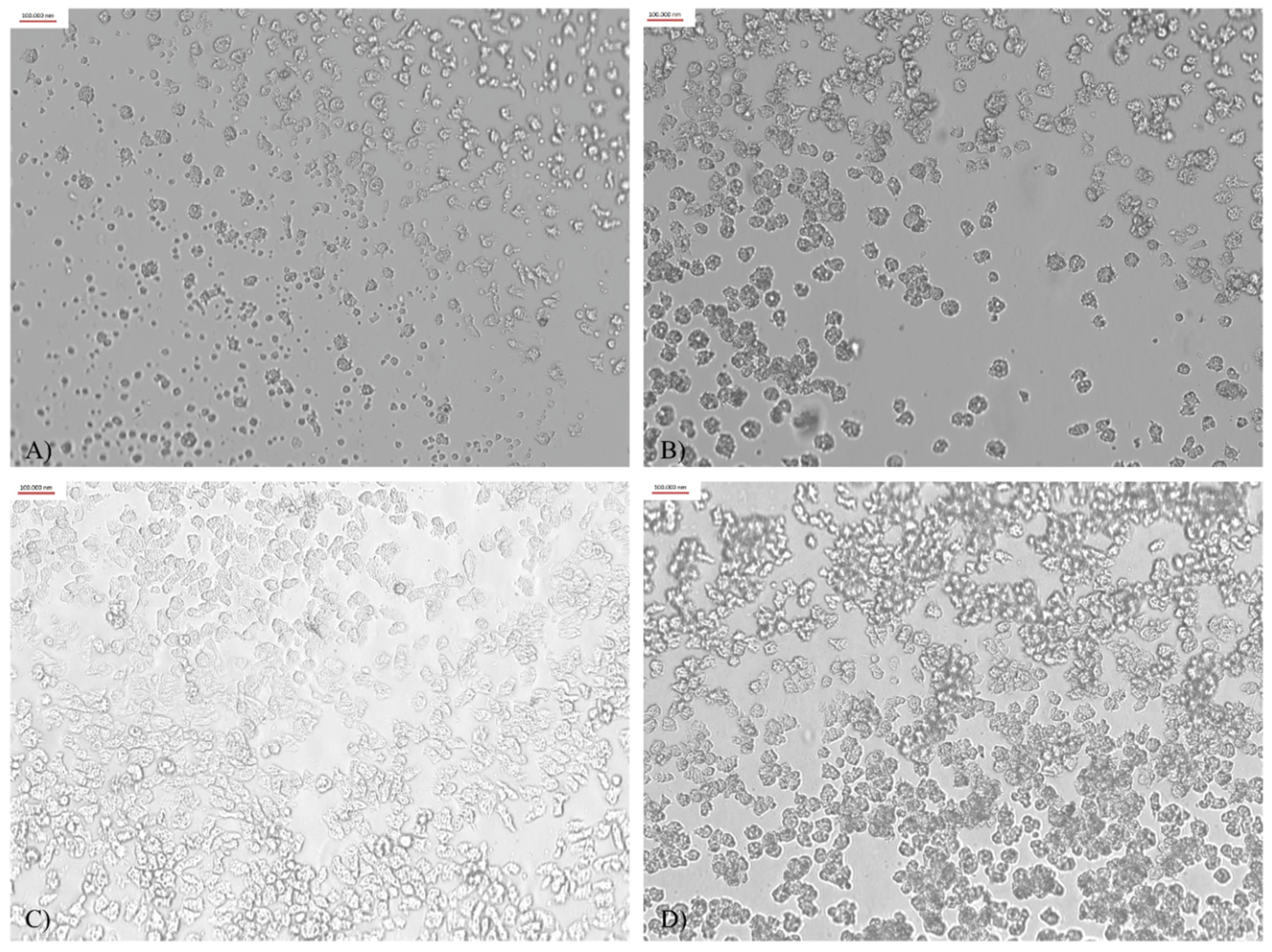 Microorganisms 10 01076 g001