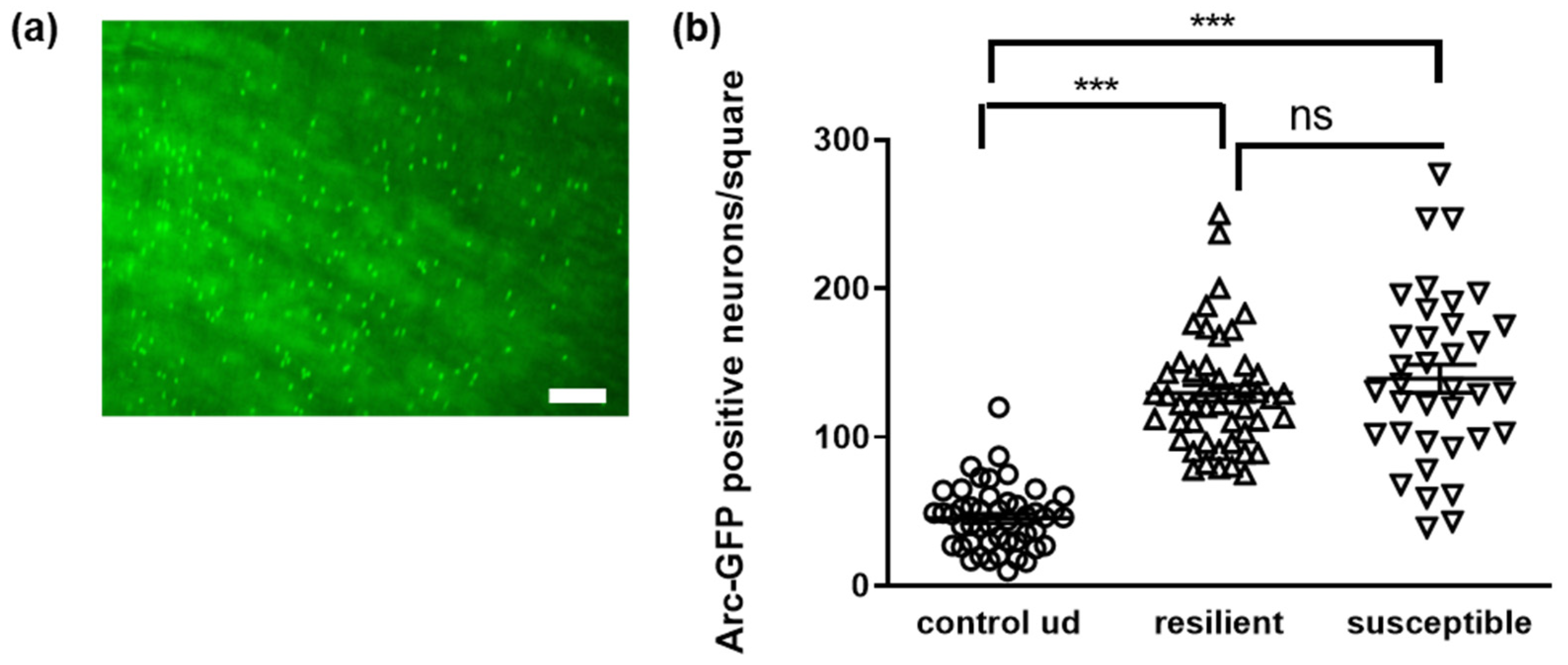 Microorganisms 10 01077 g004 Microorganisms 10 01077 g004