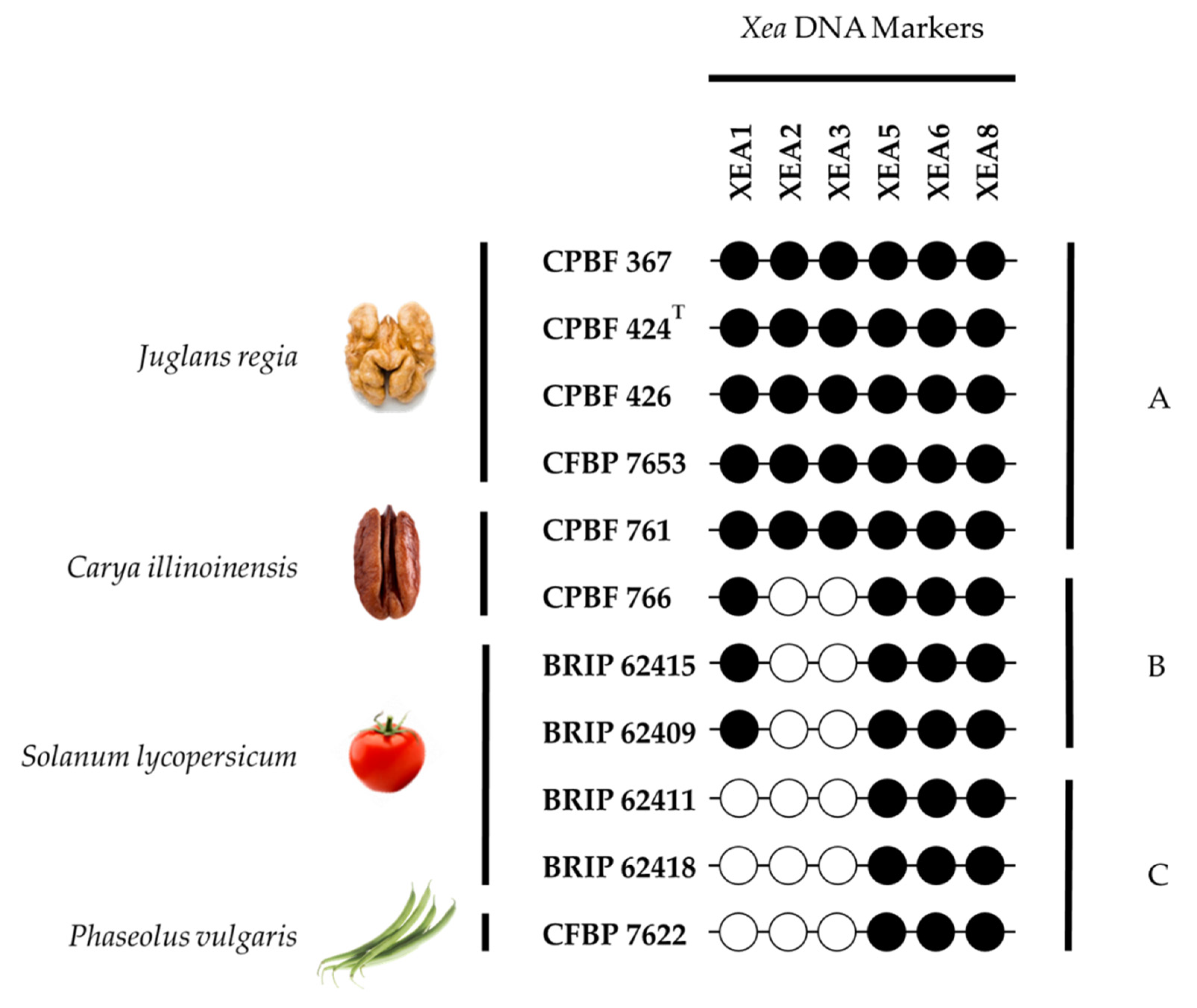 Microorganisms 10 01078 g002 Microorganisms 10 01078 g002