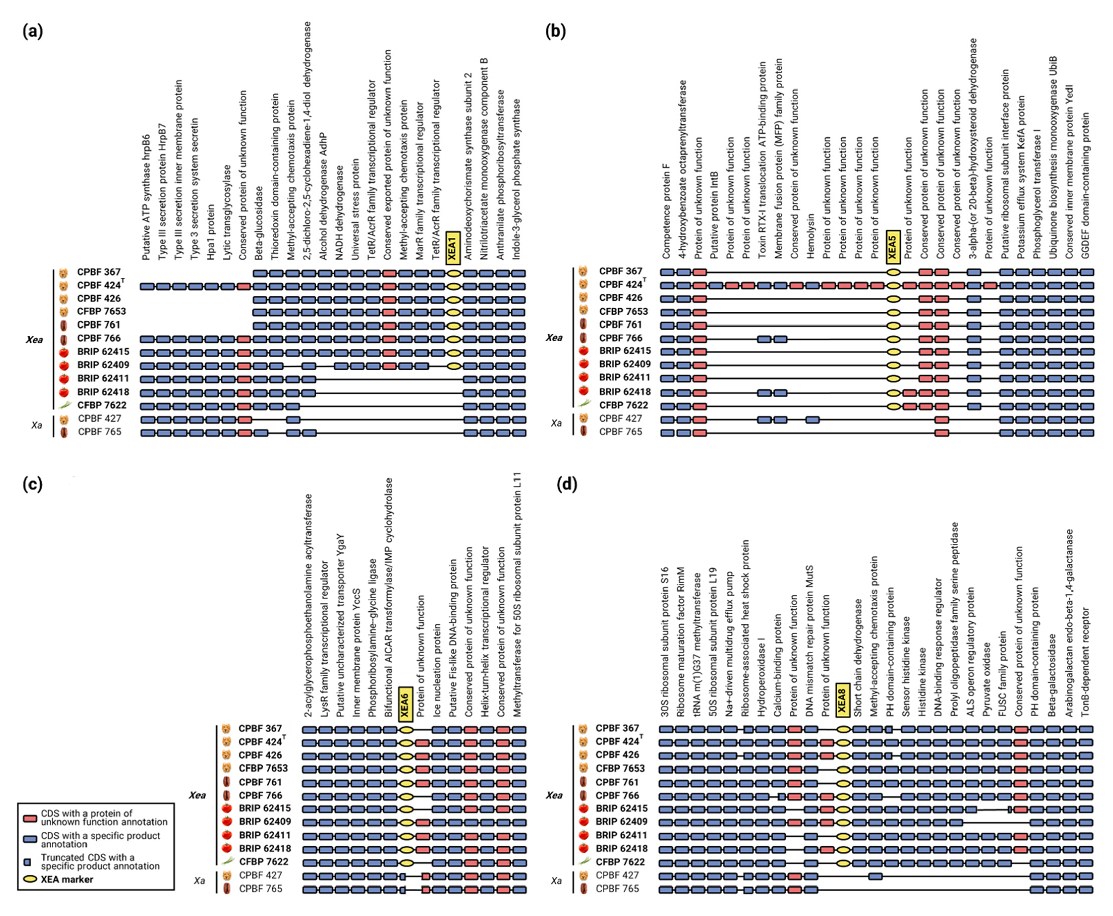 Microorganisms 10 01078 g004 Microorganisms 10 01078 g004