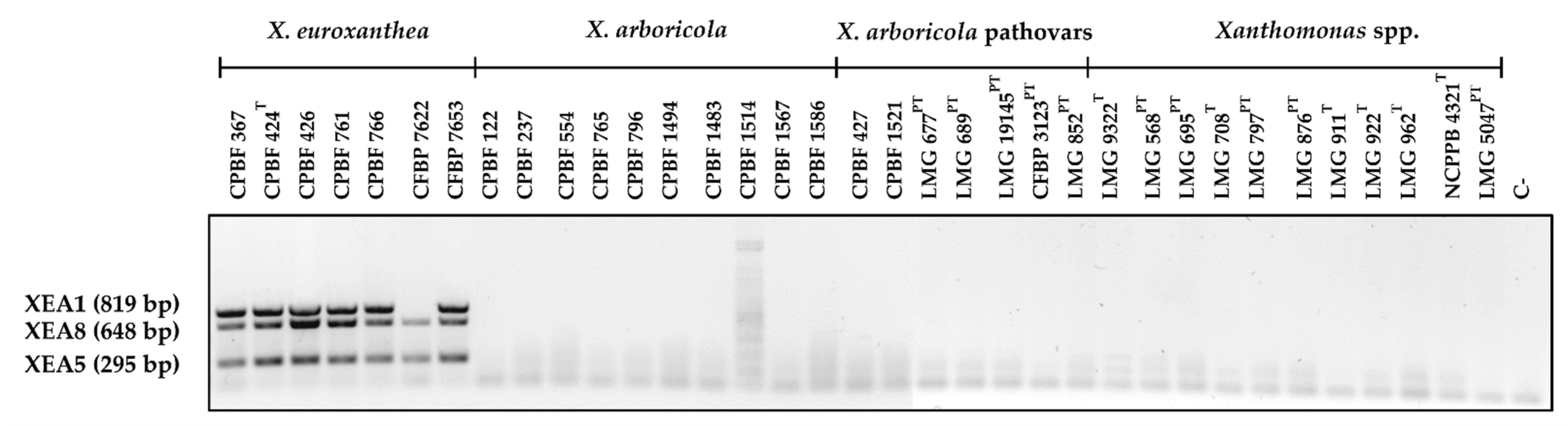Microorganisms 10 01078 g005 Microorganisms 10 01078 g005