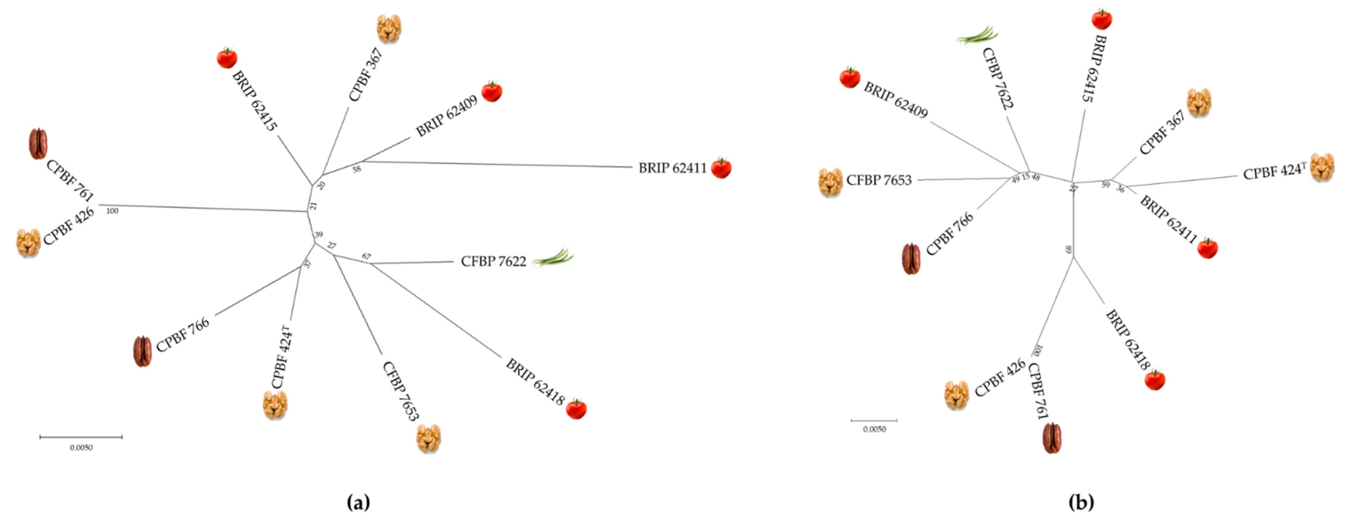 Microorganisms 10 01078 g006 Microorganisms 10 01078 g006