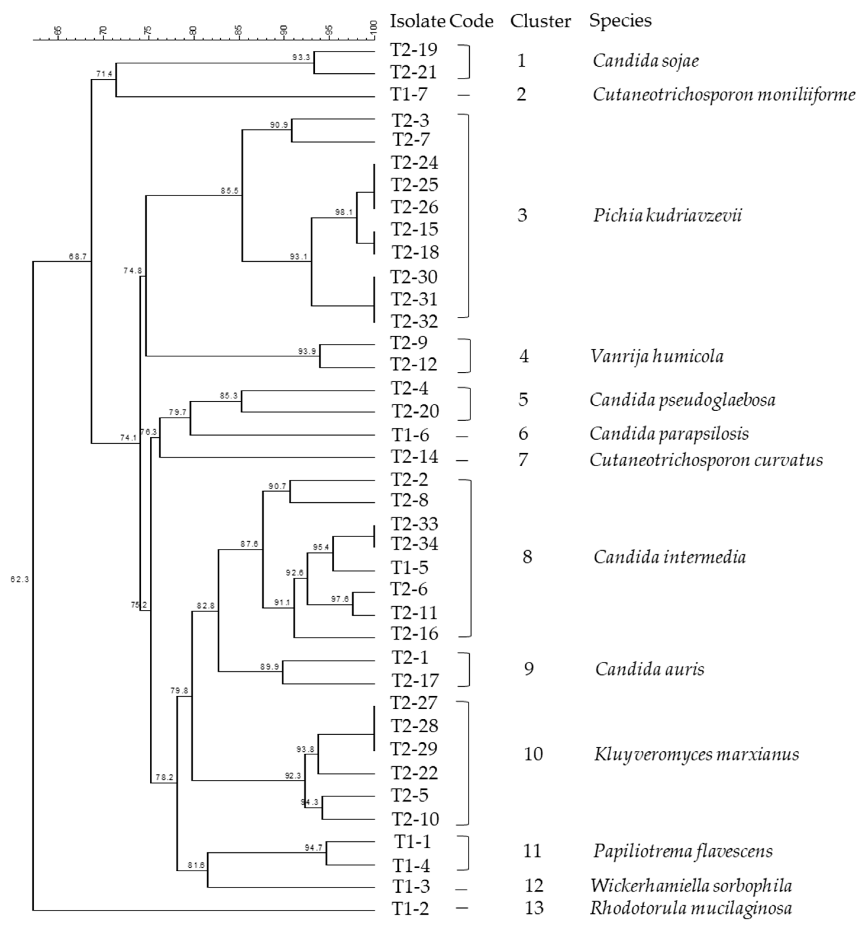 Microorganisms 10 01079 g002