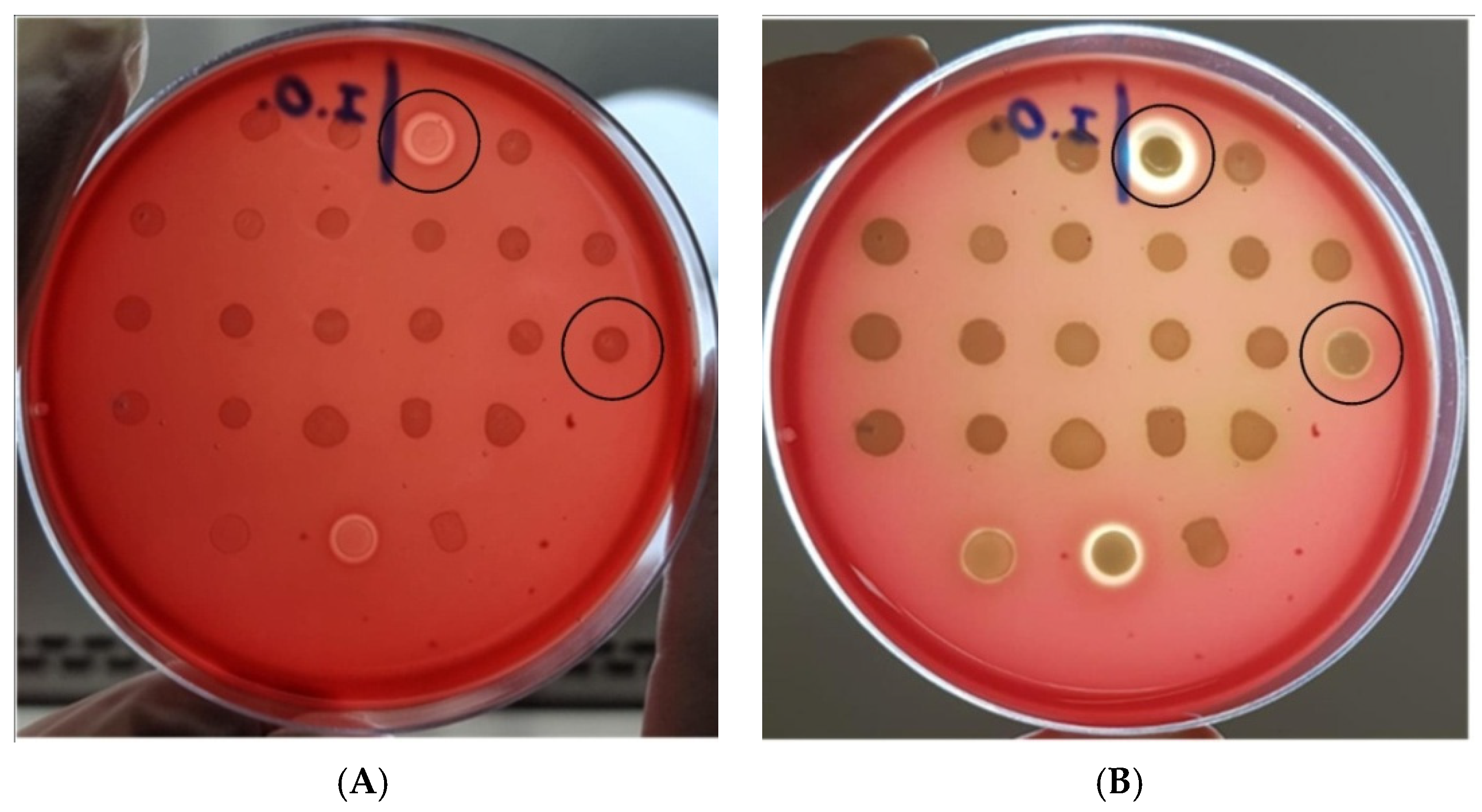 Microorganisms 10 01084 g002