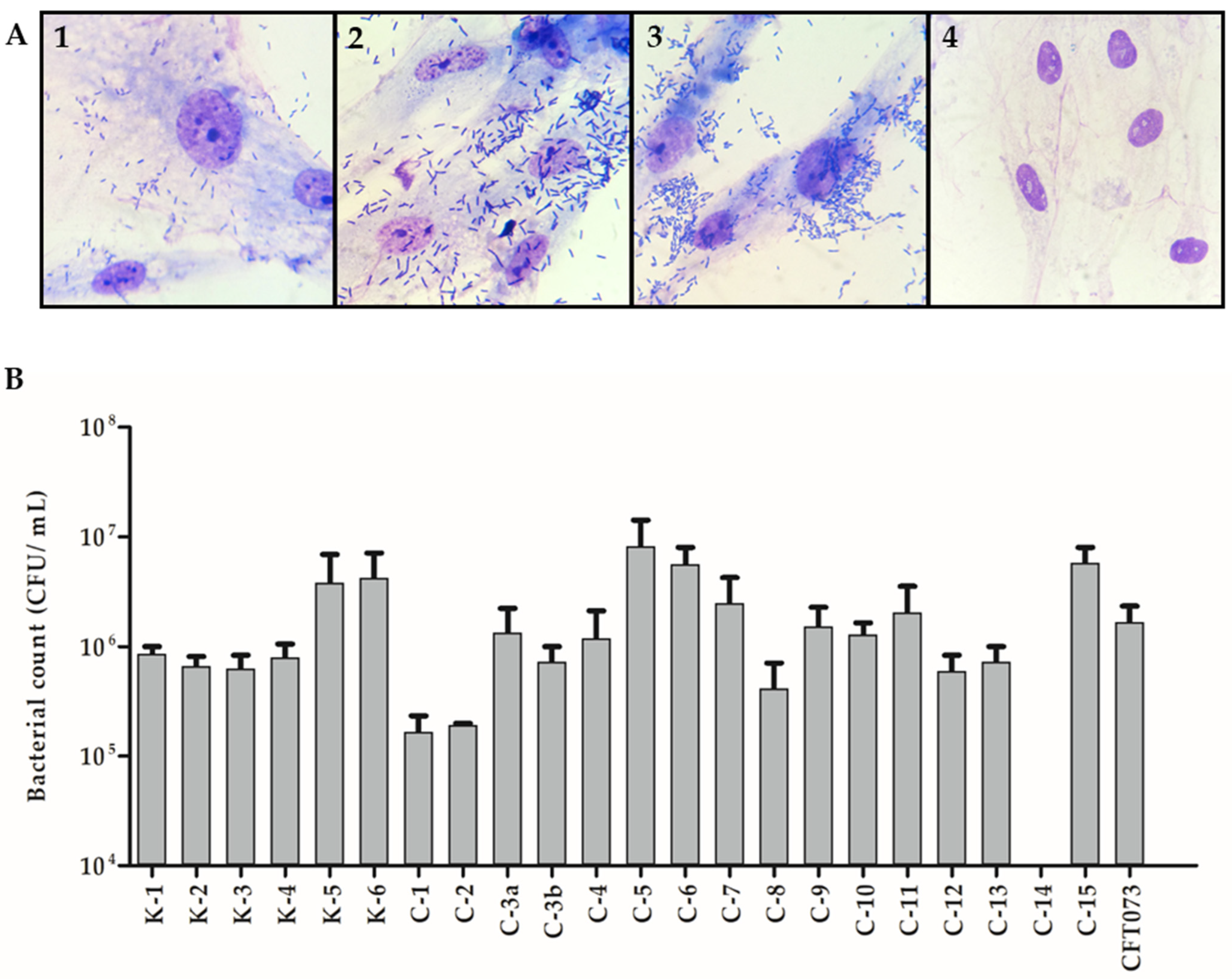 Microorganisms 10 01084 g003