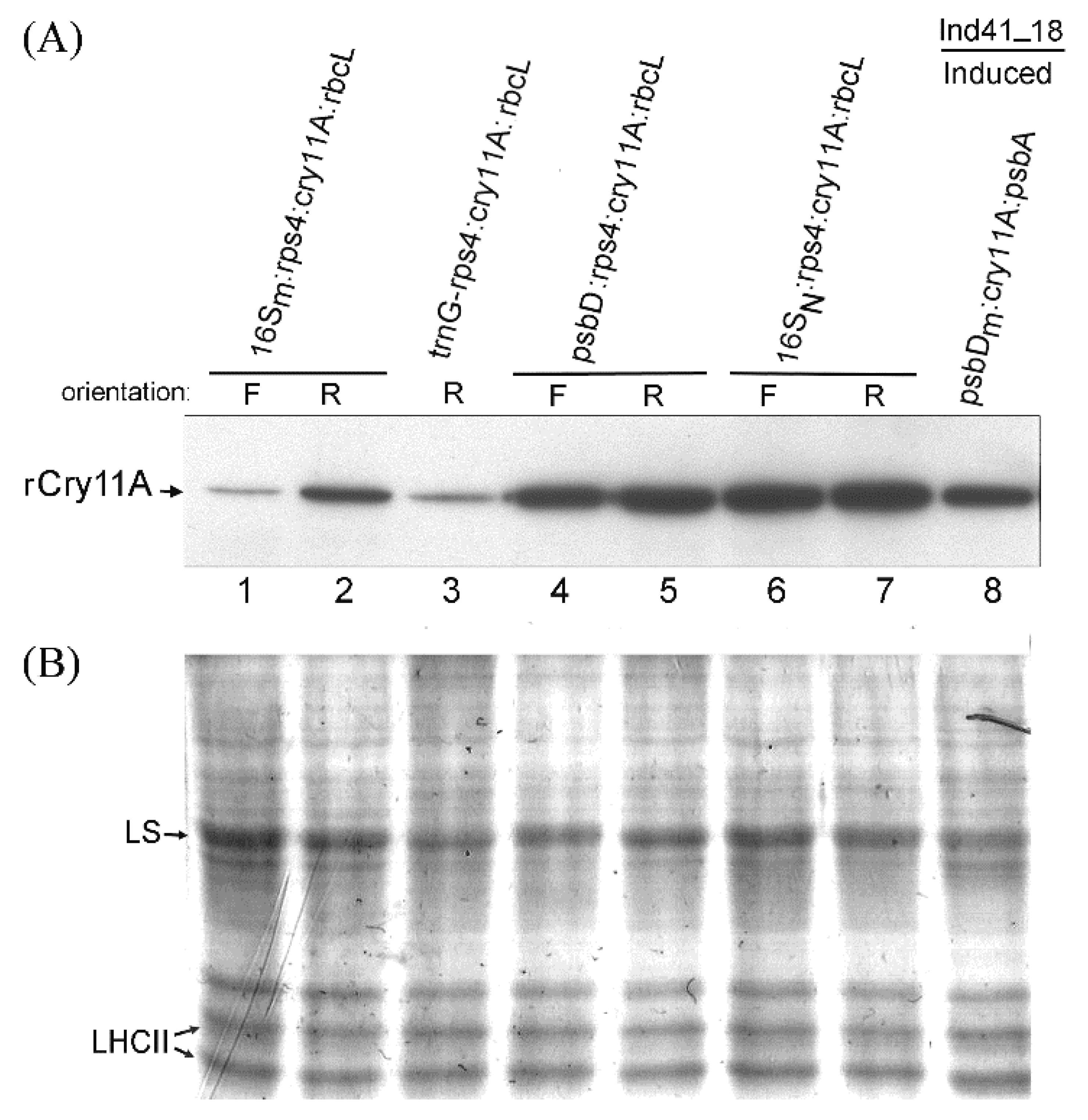 Microorganisms 10 01087 g004