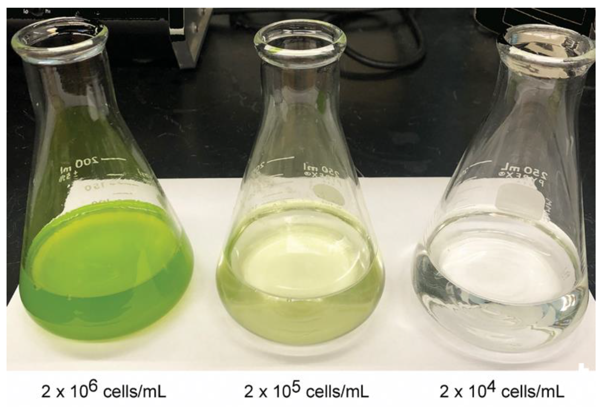 Microorganisms 10 01087 g006