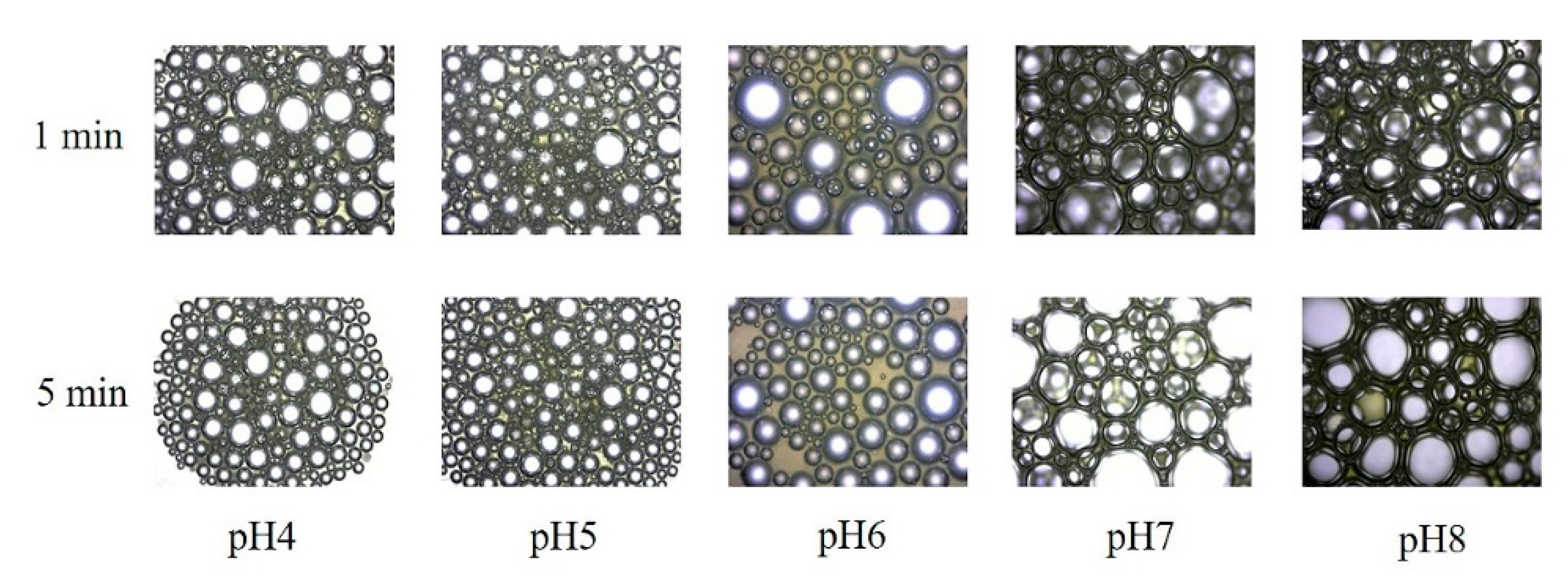 Microorganisms 10 01091 g002