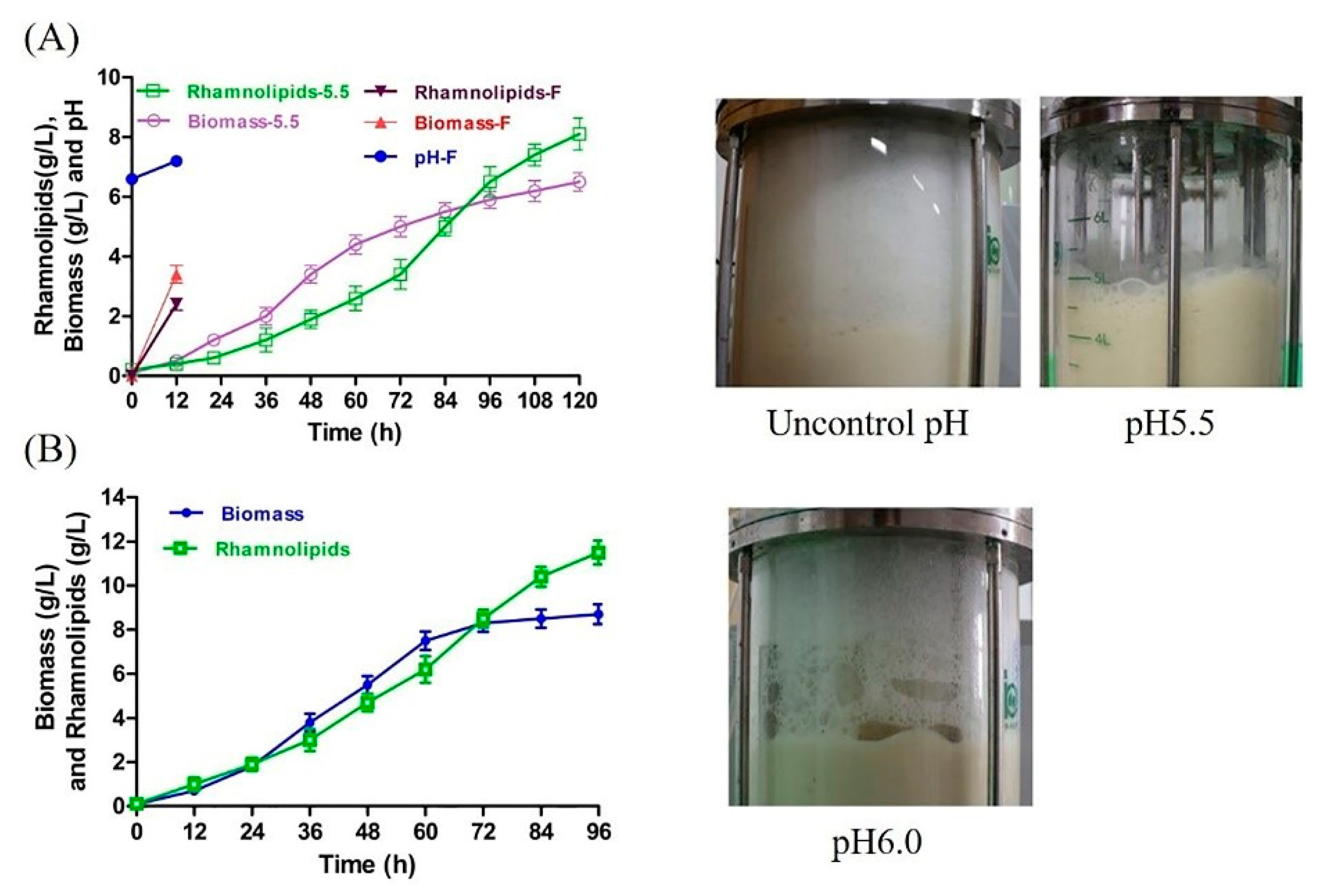 Microorganisms 10 01091 g003