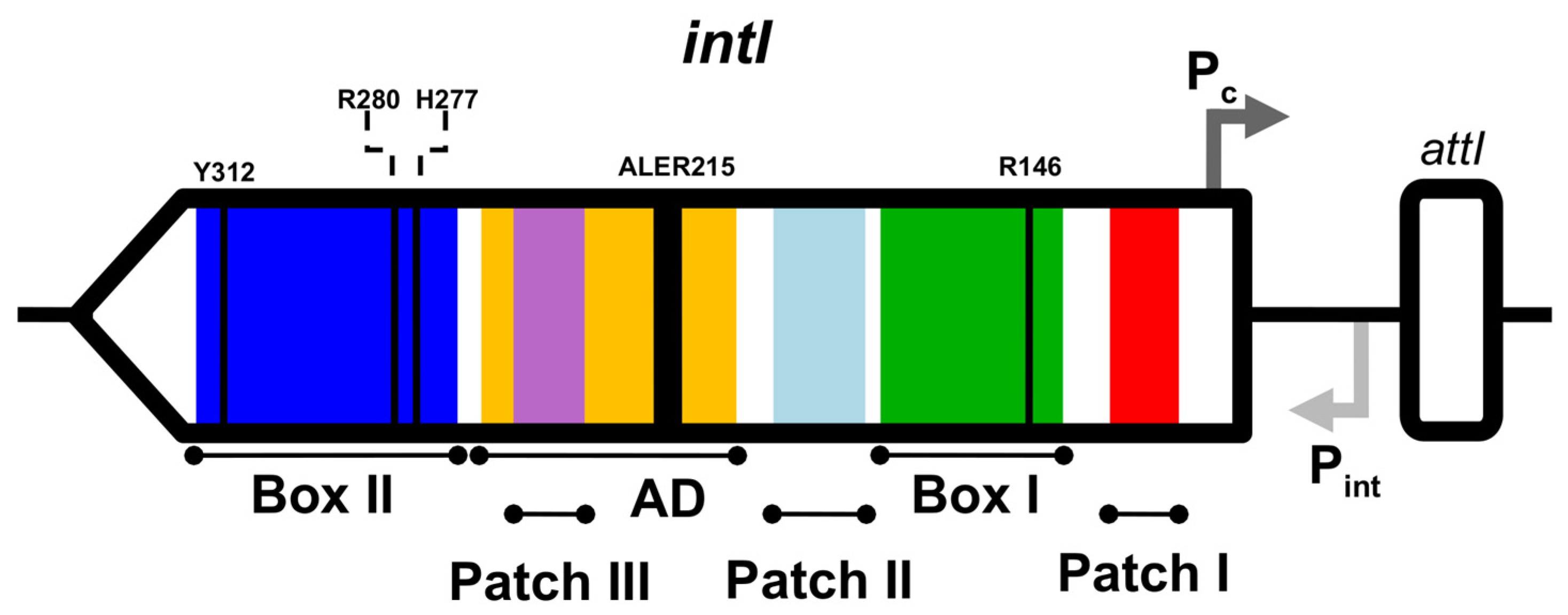 Microorganisms 10 01102 g001
