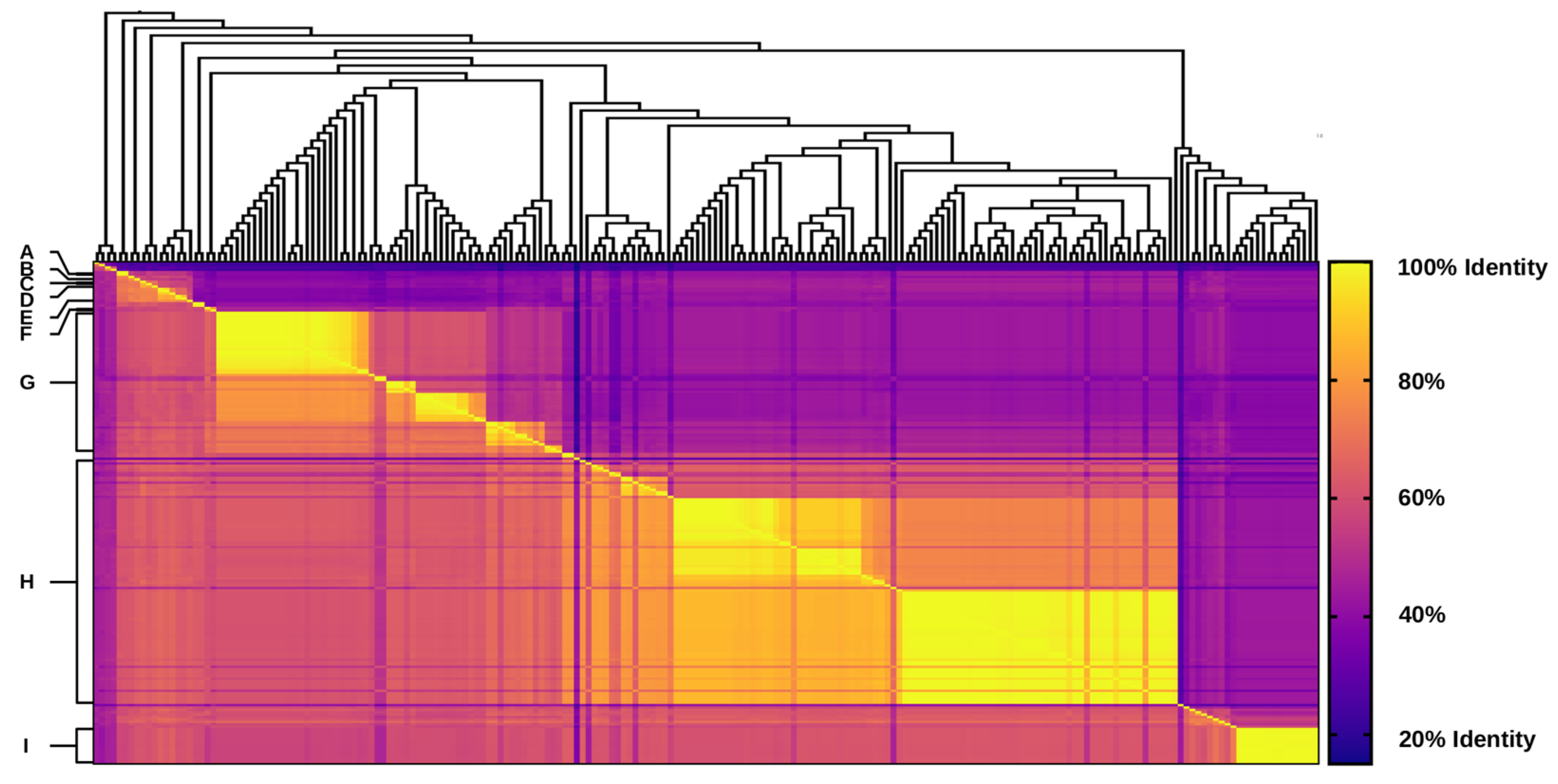 Microorganisms 10 01102 g002