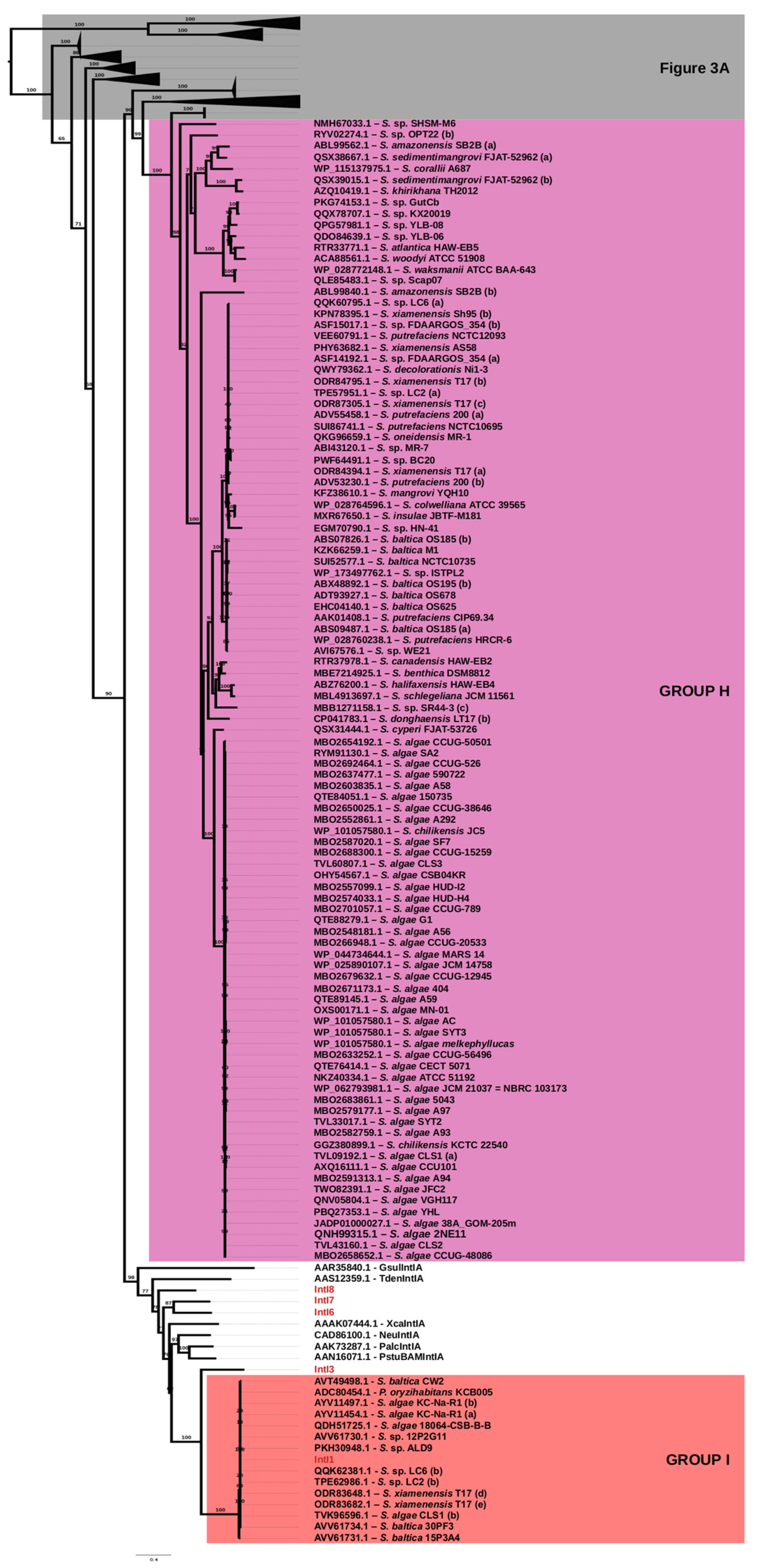 Microorganisms 10 01102 g003a