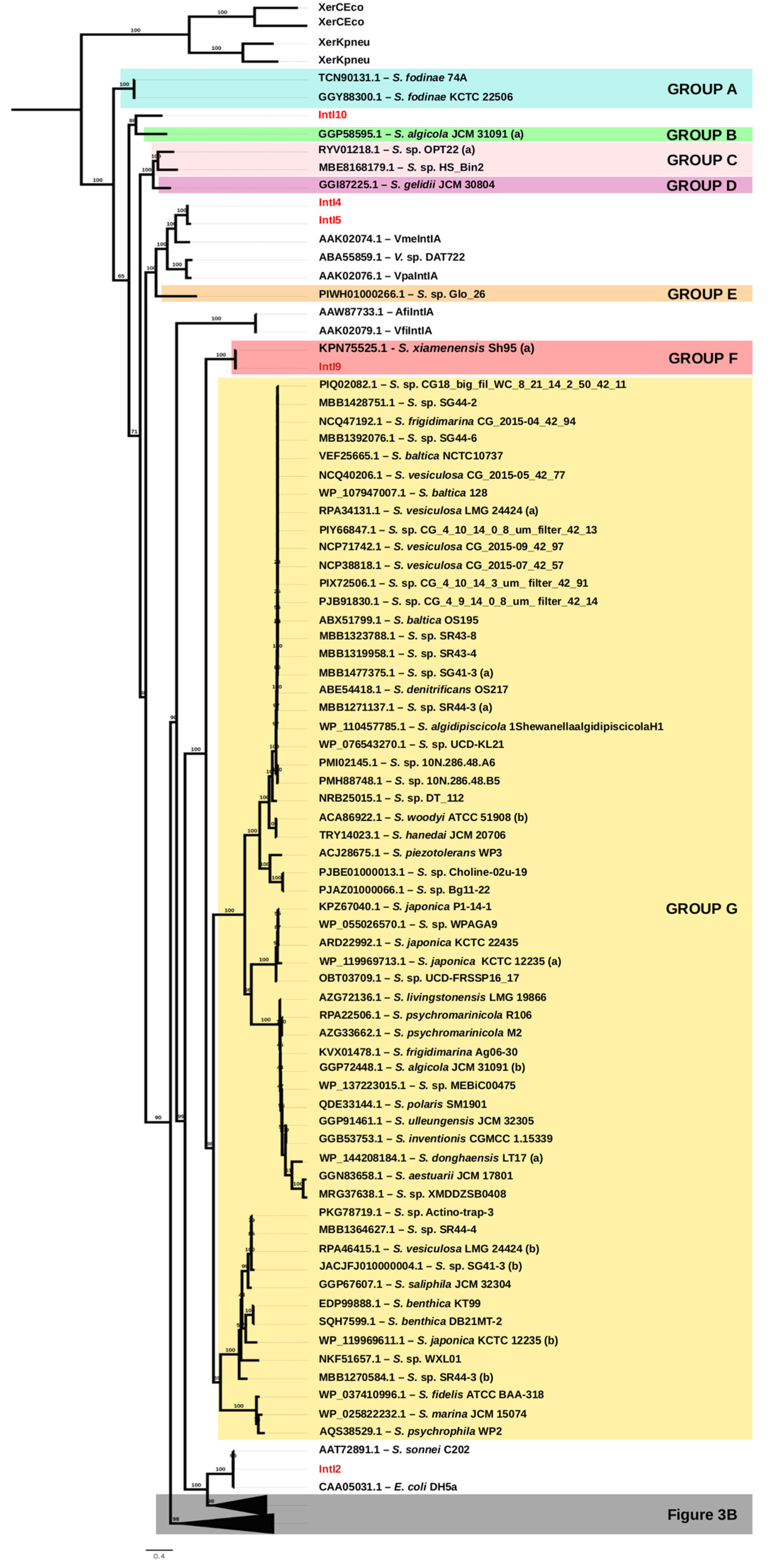 Microorganisms 10 01102 g003b