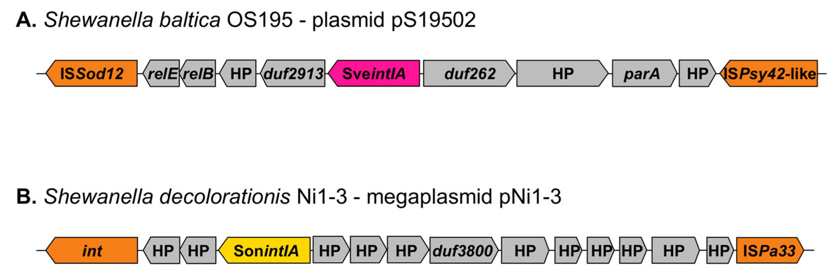 Microorganisms 10 01102 g005
