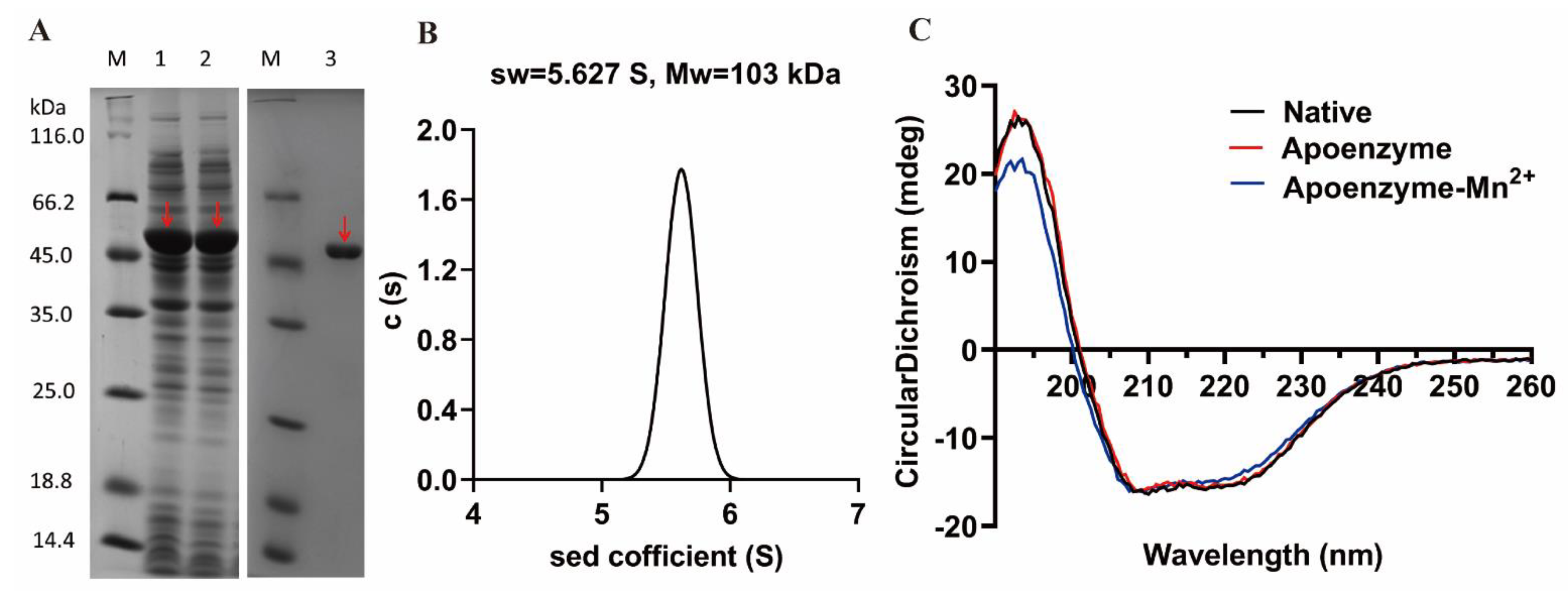 Microorganisms 10 01112 g003 Microorganisms 10 01112 g003