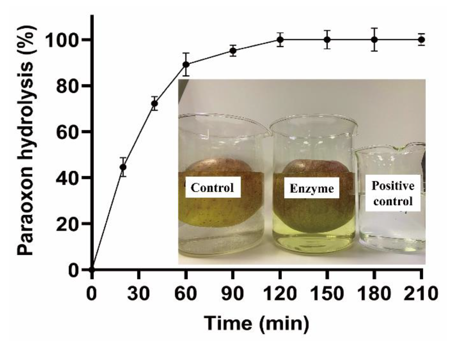 Microorganisms 10 01112 g008 Microorganisms 10 01112 g008