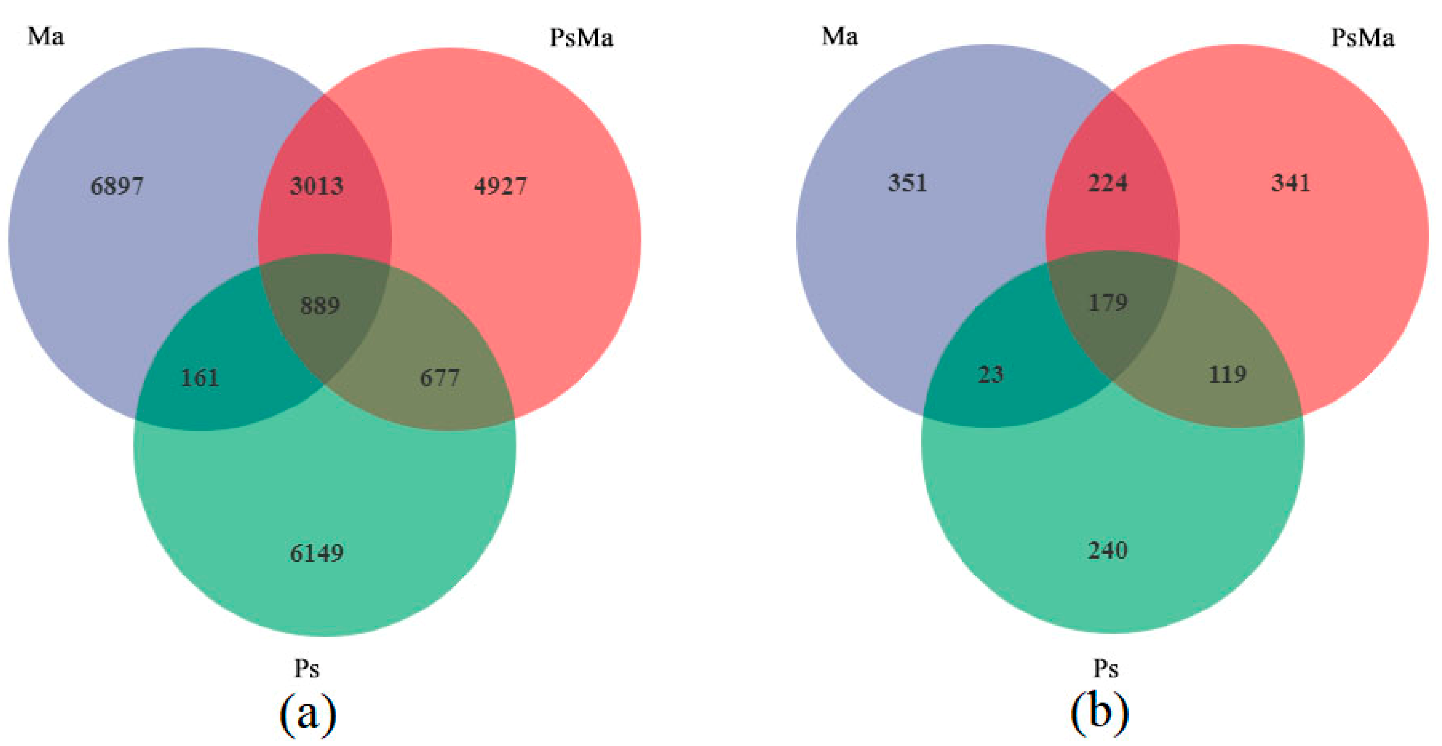 Microorganisms 10 01117 g002