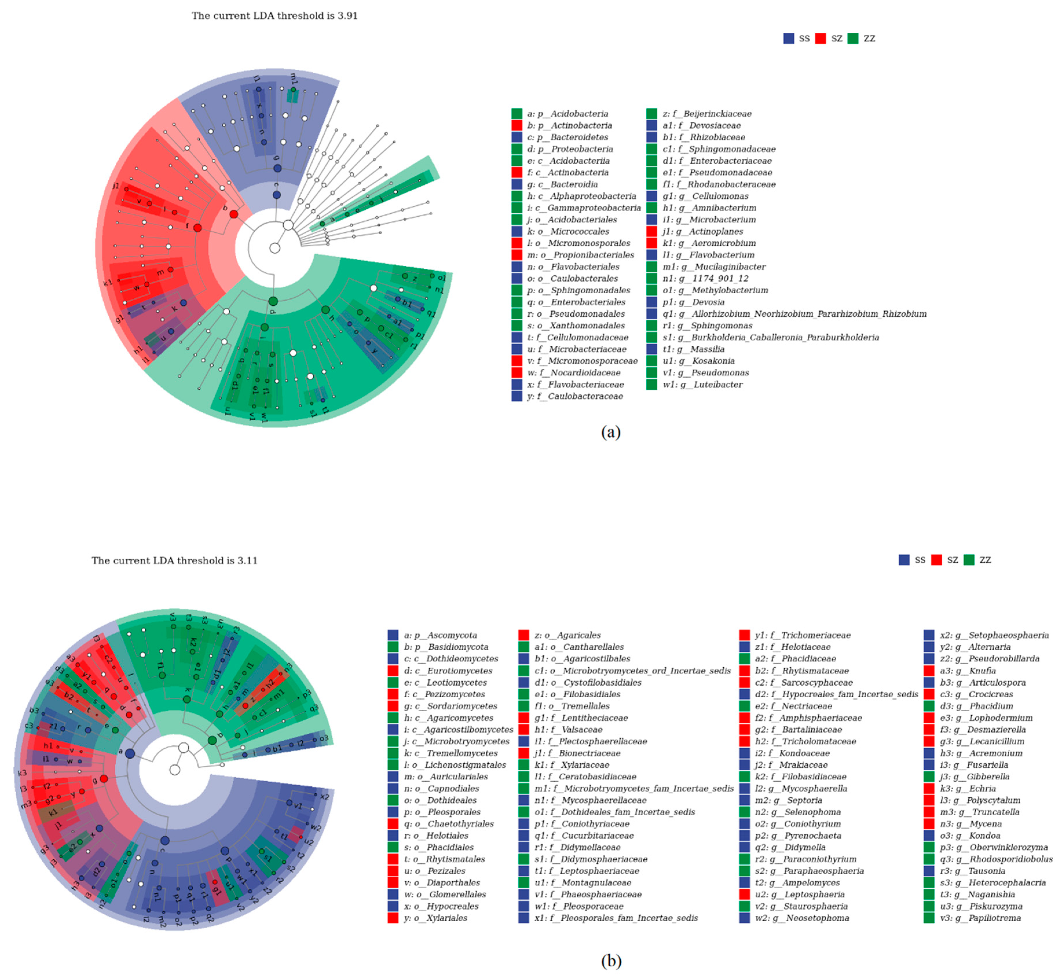 Microorganisms 10 01117 g006