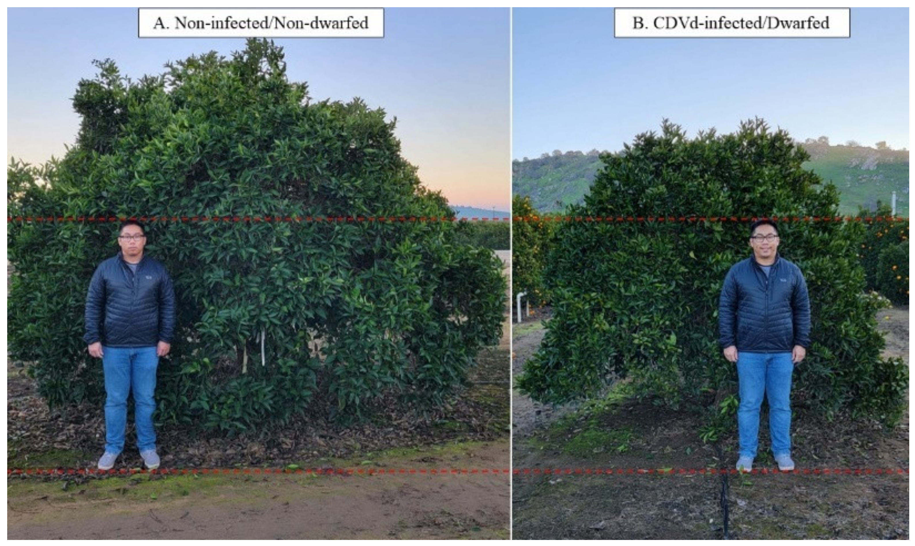 Microorganisms 10 01144 g001